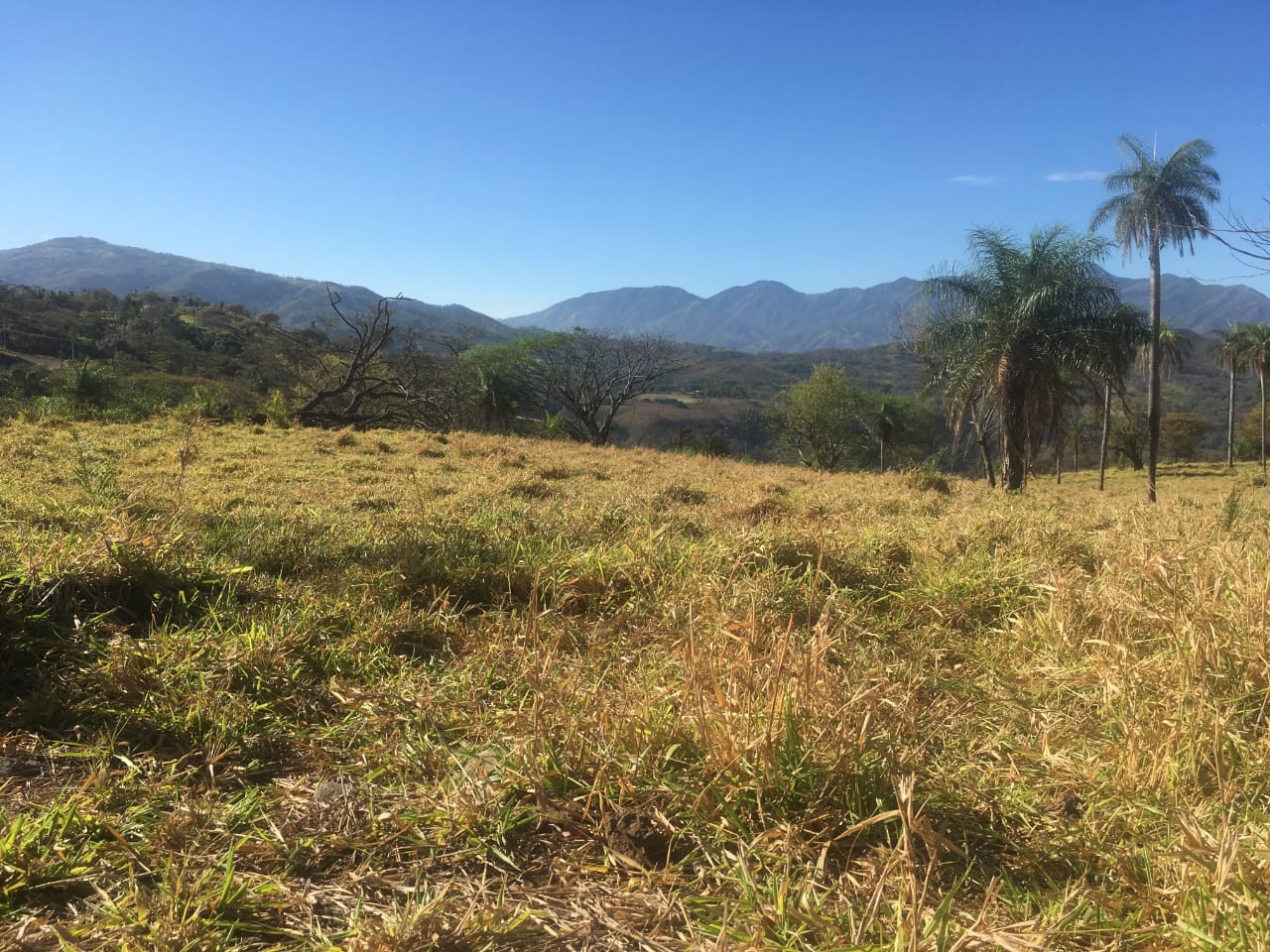 0 bed Land For Sale in Atenas, Alajuela - thumb 18