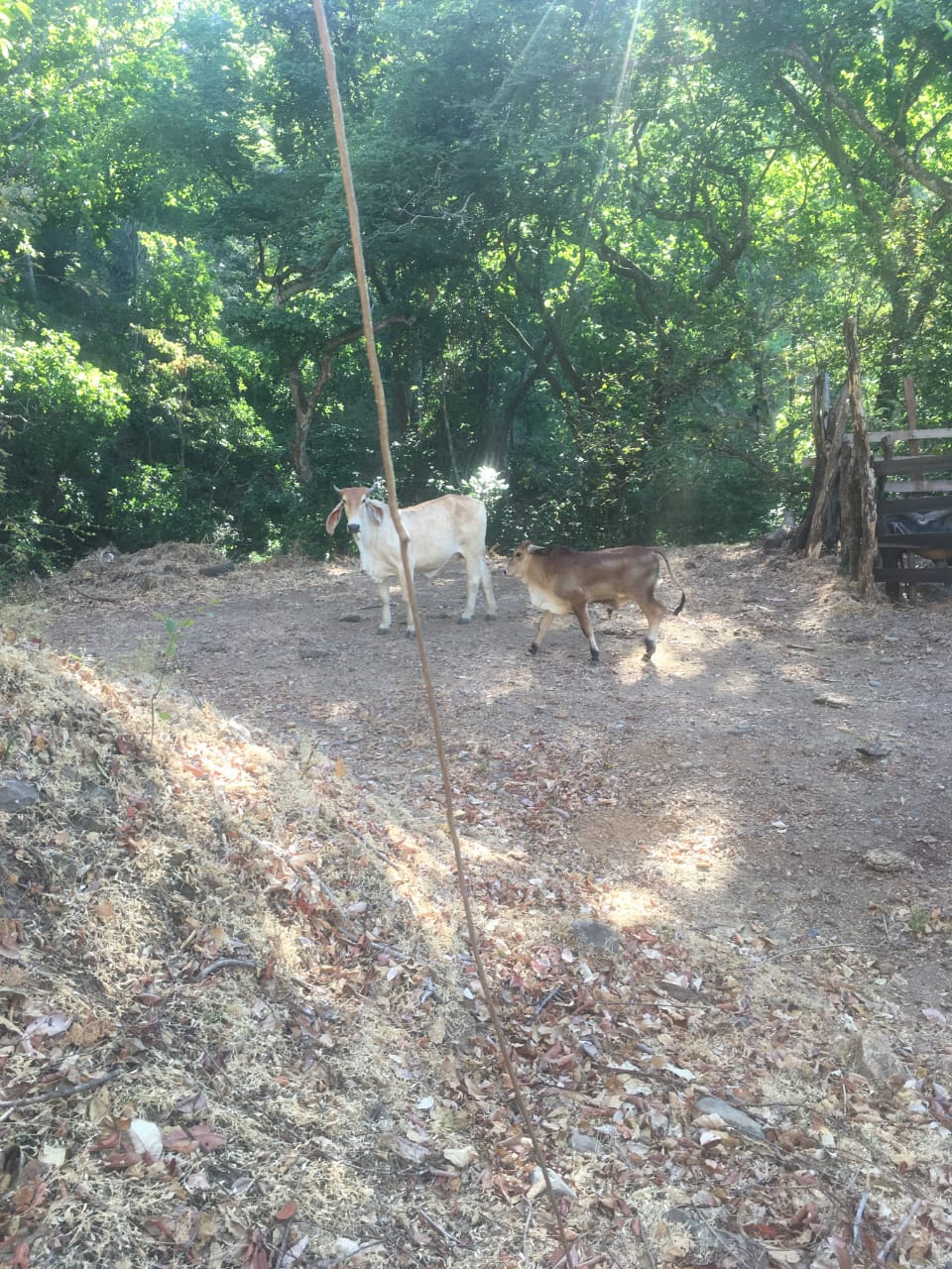 0 bed Land For Sale in Atenas, Alajuela - thumb 19