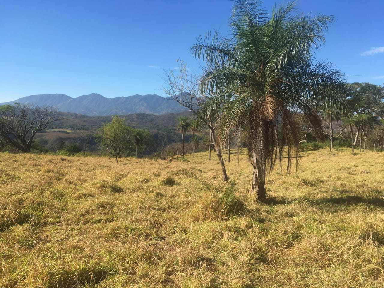 0 bed Land For Sale in Atenas, Alajuela - thumb 16