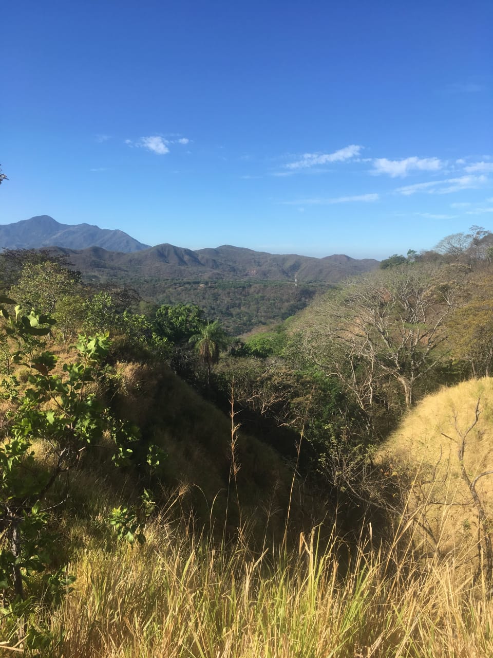 0 bed Land For Sale in Atenas, Alajuela - thumb 22