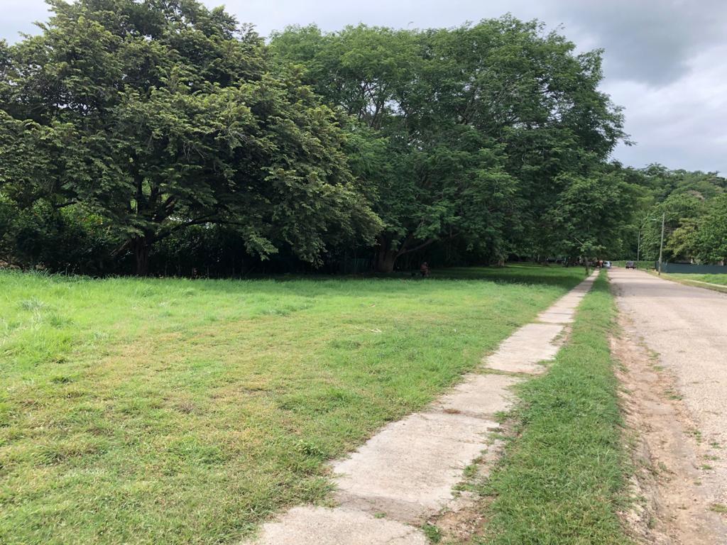 3 bed Single Family Homes For Sale in Tamarindo, Guanacaste - thumb 16