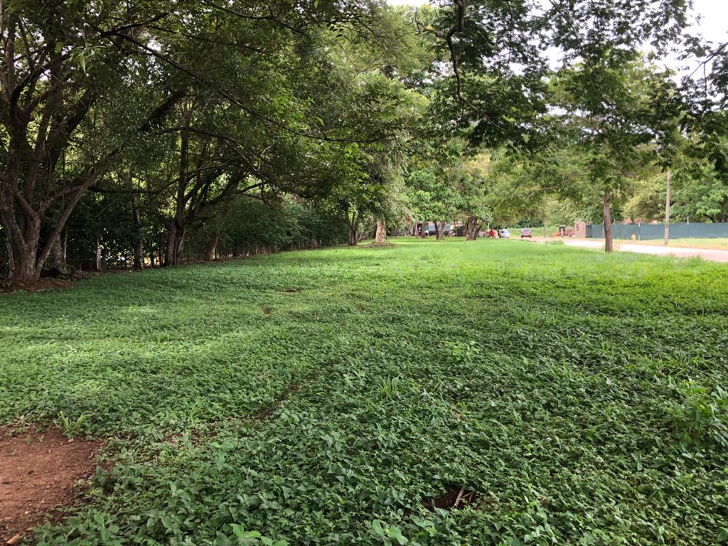 3 bed Single Family Homes For Sale in Tamarindo, Guanacaste - thumb 17