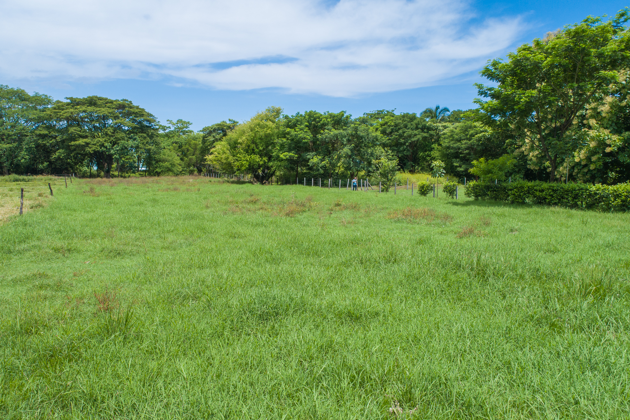 0 bed Land For Sale in Garza, Guanacaste - thumb 5