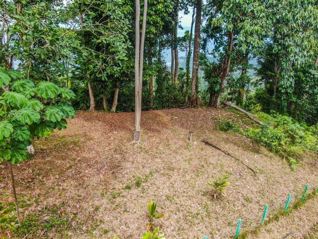 0 bed Land For Sale in Uvita, Puntarenas - thumb 7