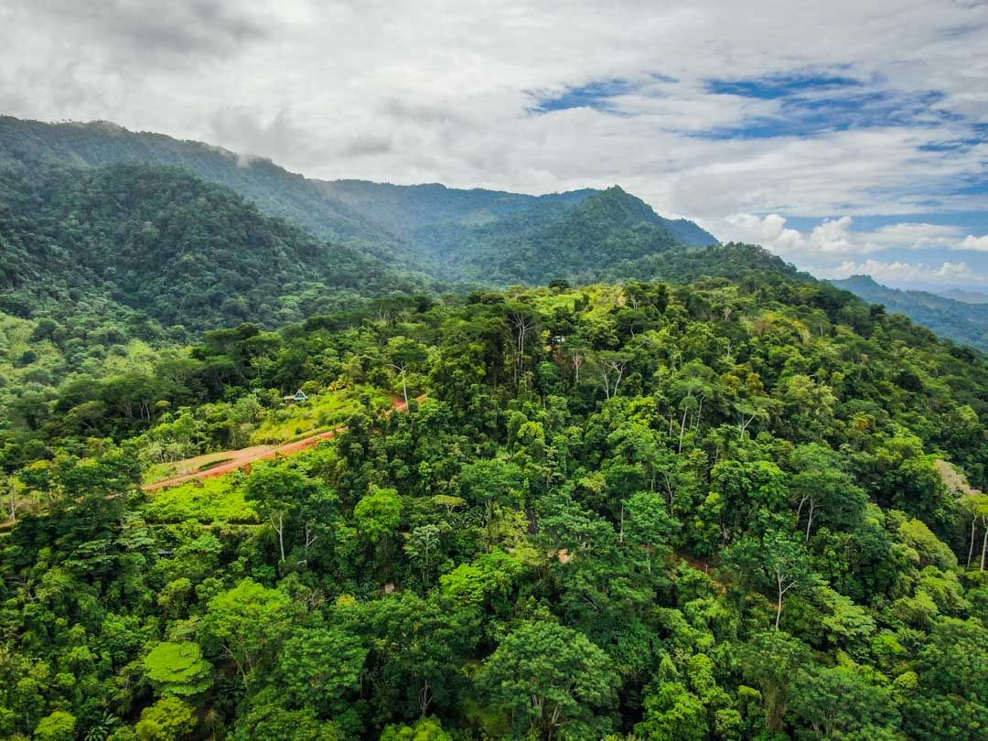 0 bed Land For Sale in Uvita, Puntarenas - thumb 13