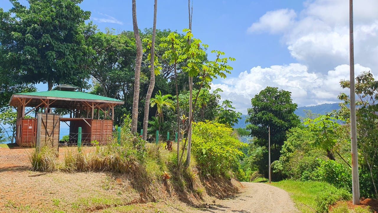 0 bed Land For Sale in Uvita, Puntarenas - thumb 11