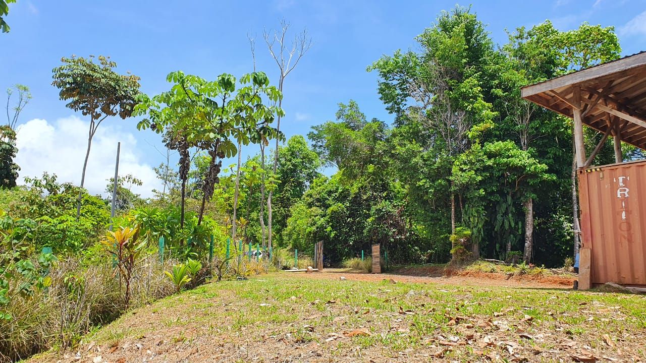 0 bed Land For Sale in Uvita, Puntarenas - thumb 5