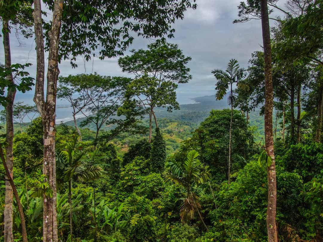 0 bed Land For Sale in Uvita, Puntarenas - thumb 14