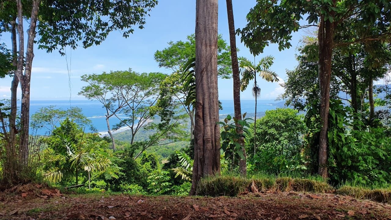 0 bed Land For Sale in Uvita, Puntarenas - thumb 6