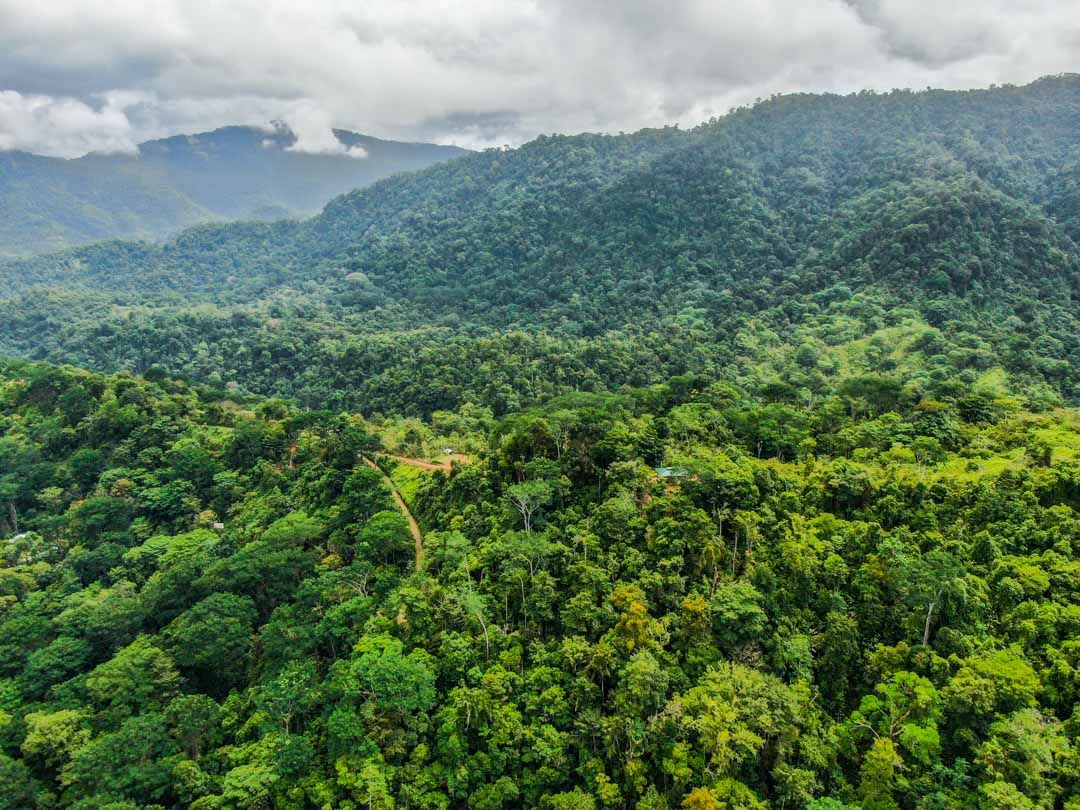 0 bed Land For Sale in Uvita, Puntarenas - thumb 10