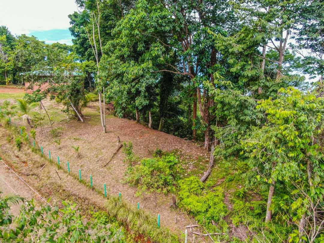 0 bed Land For Sale in Uvita, Puntarenas - thumb 8