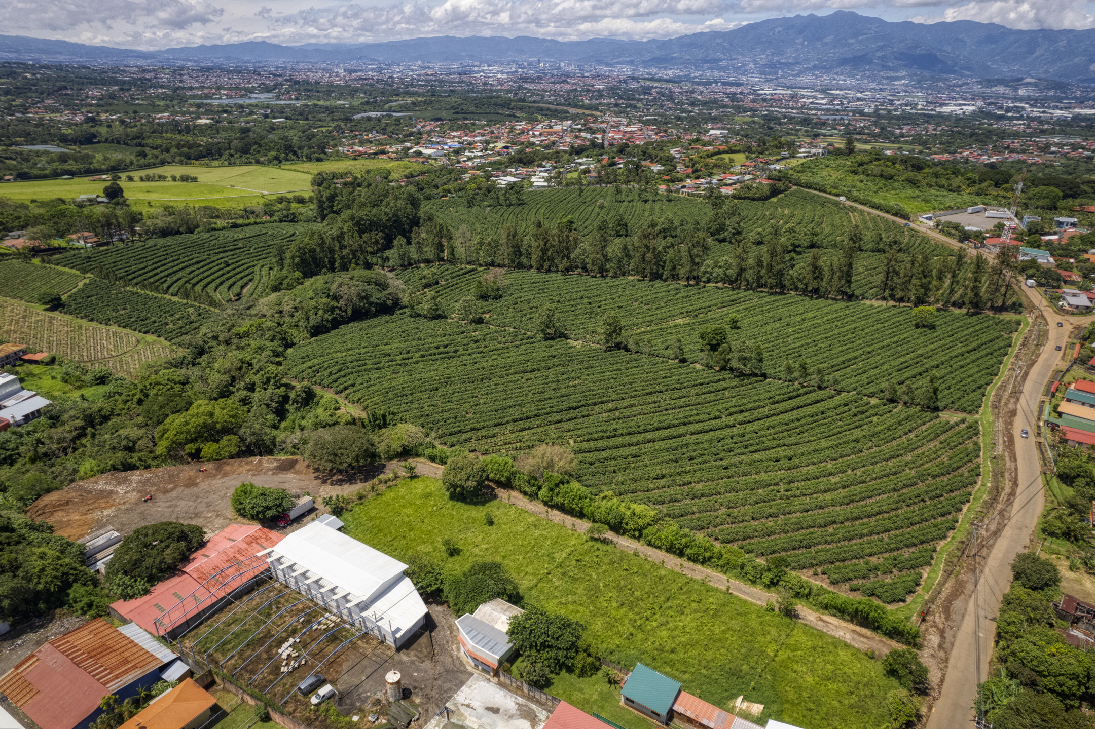 42 bed Commercial For Sale in Heredia, Heredia - thumb 8