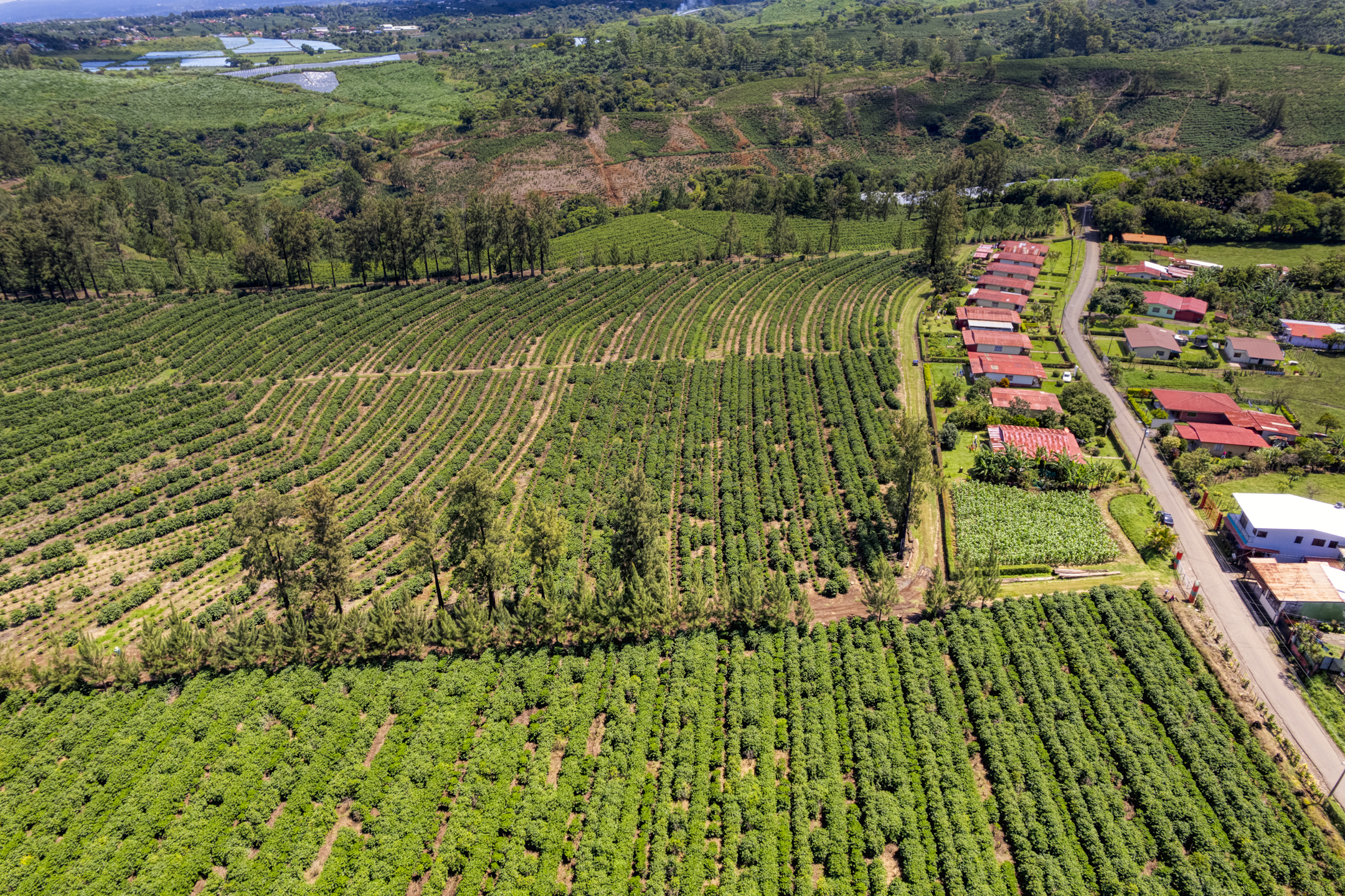 42 bed Commercial For Sale in Heredia, Heredia - thumb 2