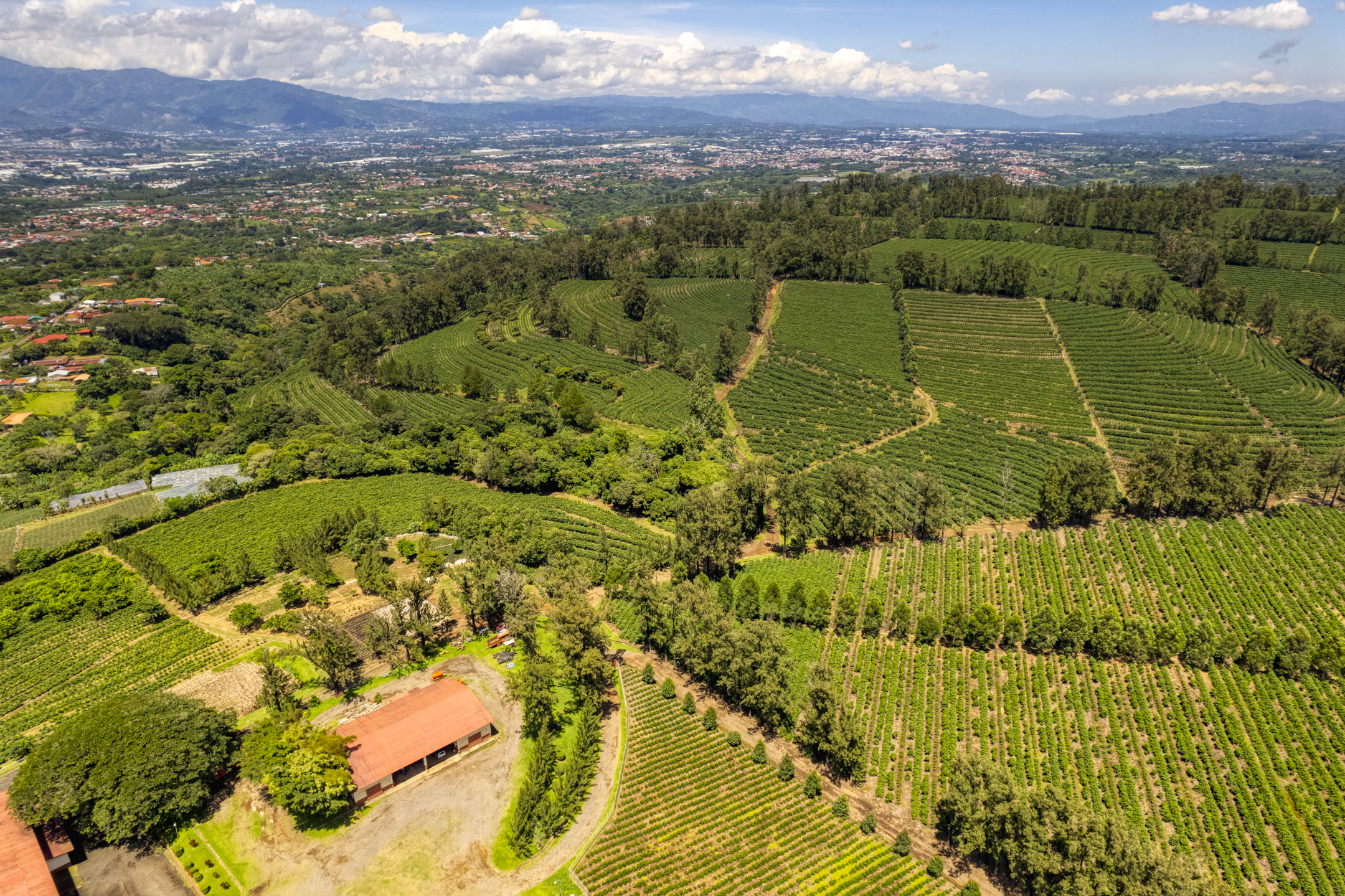 42 bed Commercial For Sale in Heredia, Heredia - thumb 1