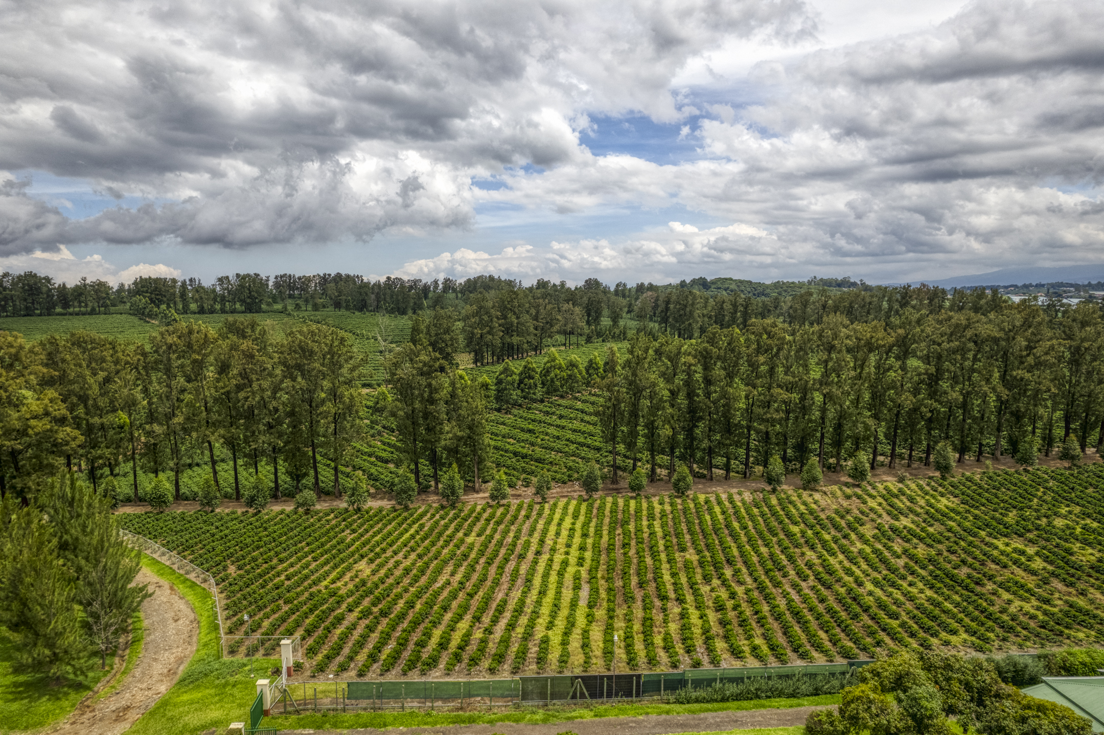 42 bed Commercial For Sale in Heredia, Heredia - thumb 19