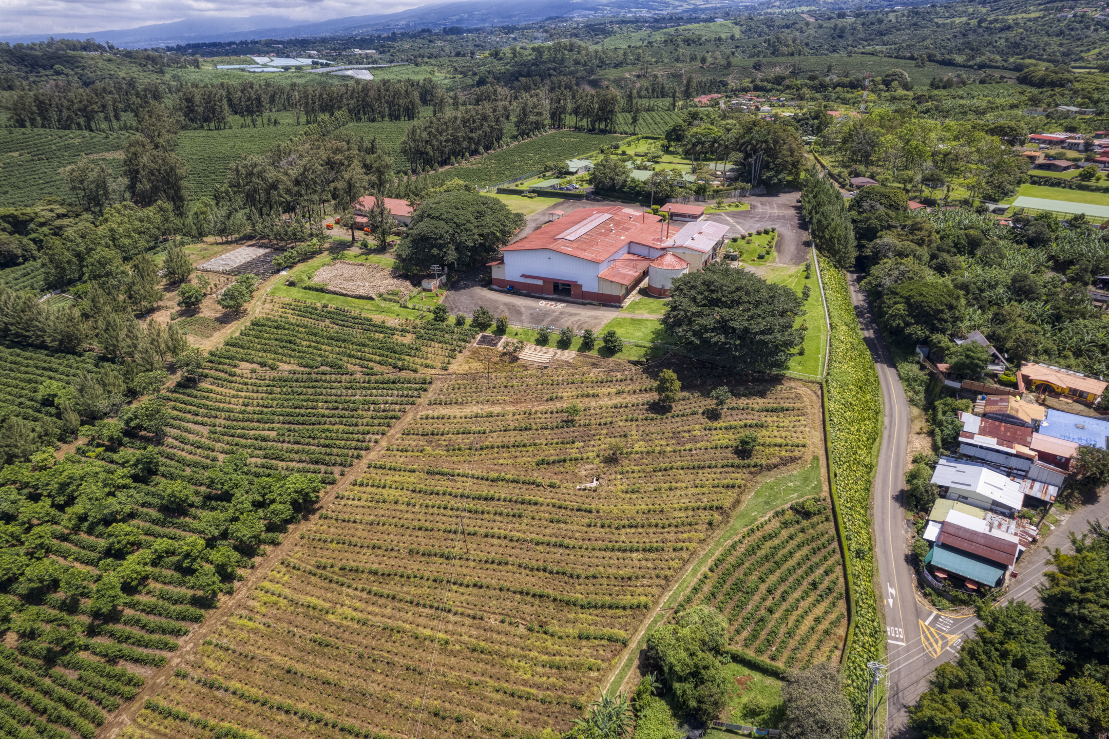 42 bed Commercial For Sale in Heredia, Heredia - thumb 9