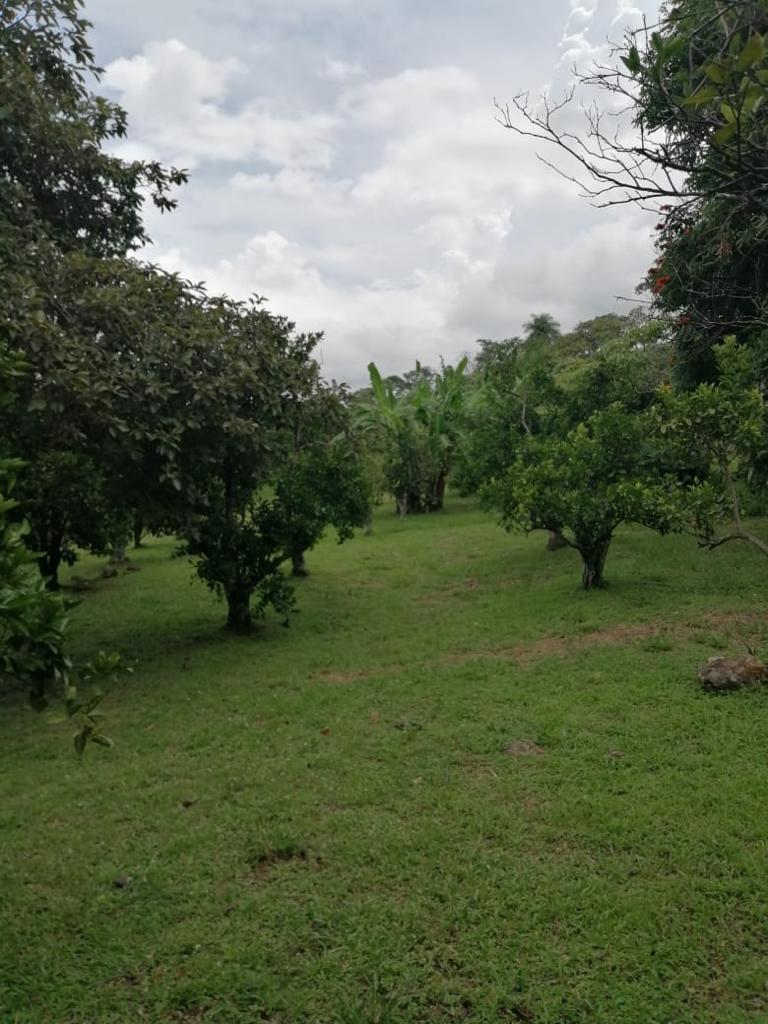 6 bed Single Family Homes For Sale in Atenas, Alajuela - thumb 11