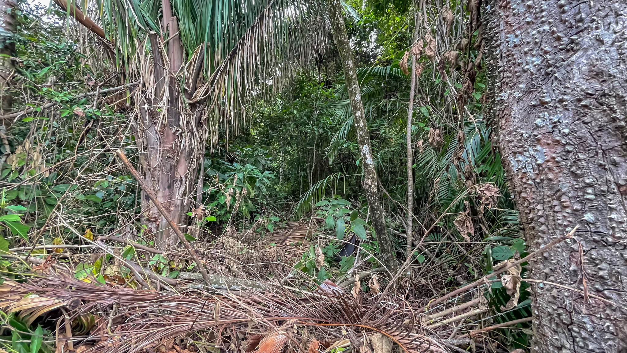 6 bed Single Family Homes For Sale in Montezuma, Puntarenas - thumb 22