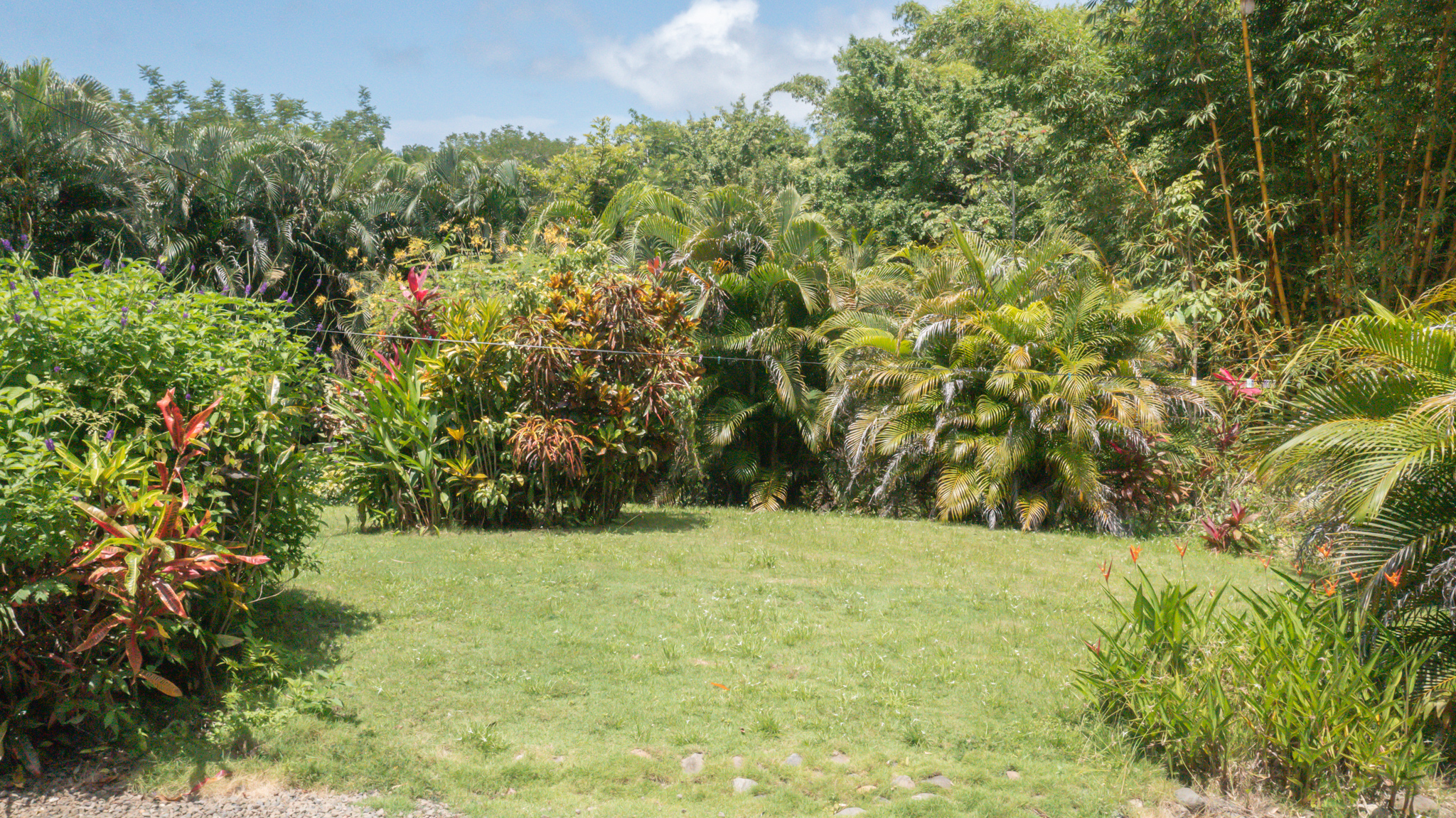 6 bed Single Family Homes For Sale in Montezuma, Puntarenas - thumb 11