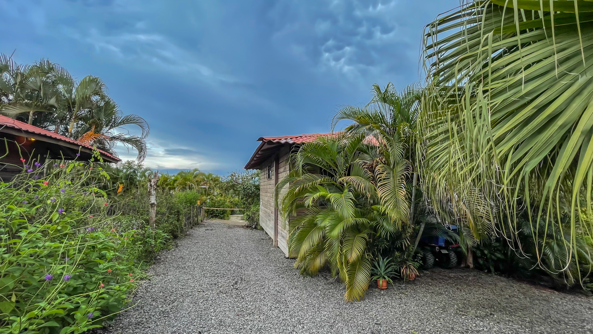 6 bed Single Family Homes For Sale in Montezuma, Puntarenas - thumb 27