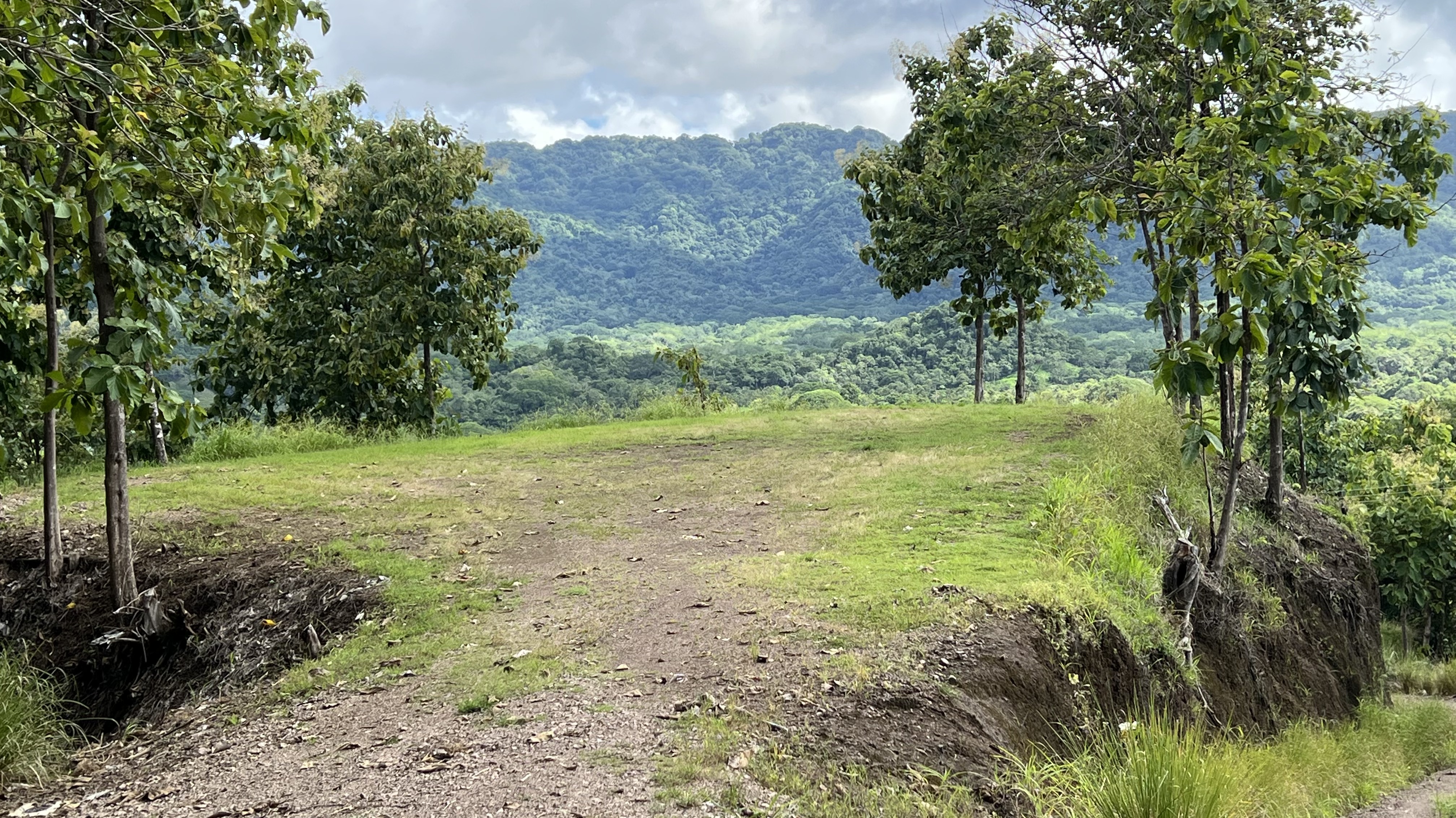 0 bed Land For Sale in Tambor, Puntarenas - thumb 3