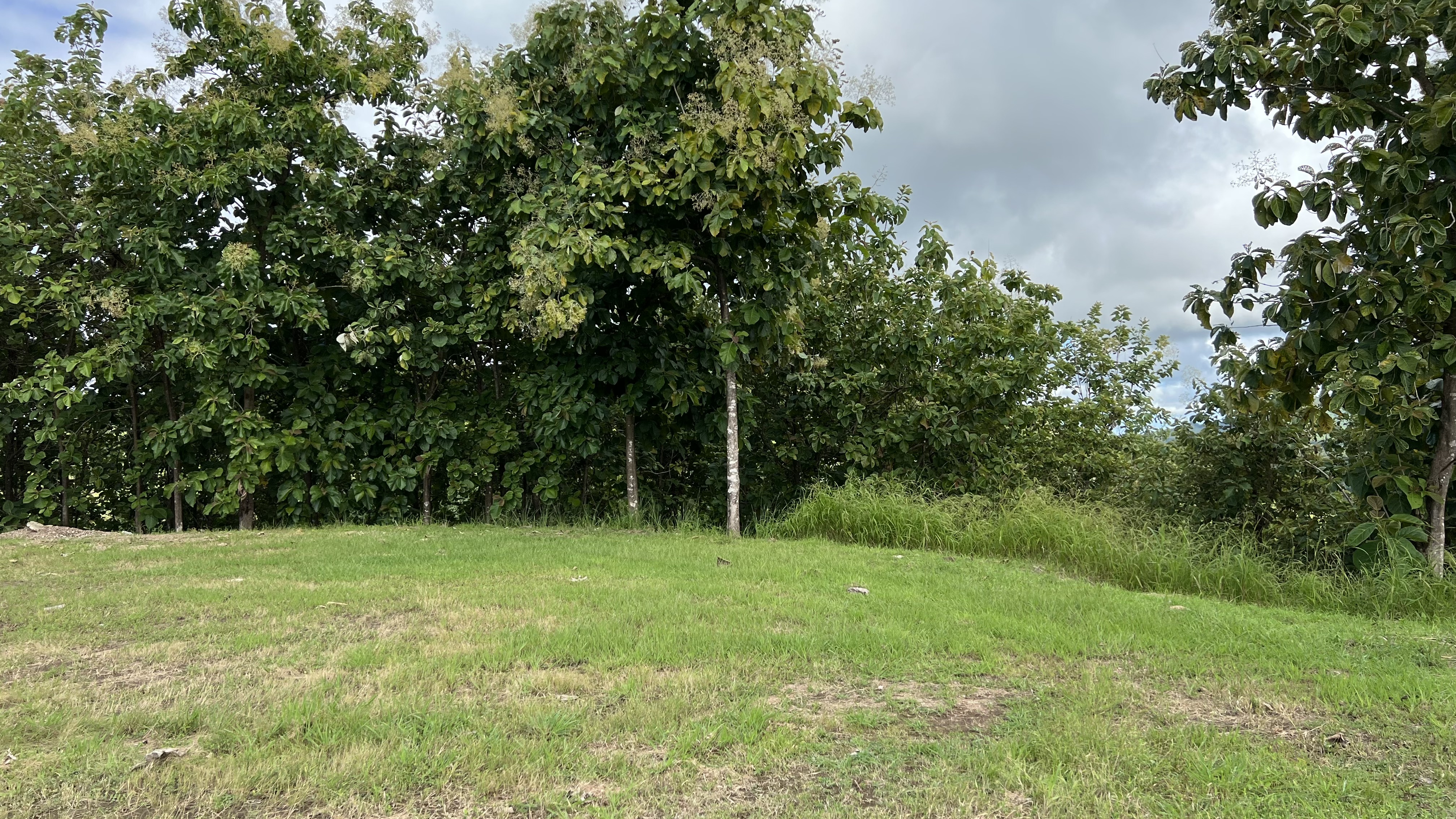 0 bed Land For Sale in Tambor, Puntarenas - thumb 5