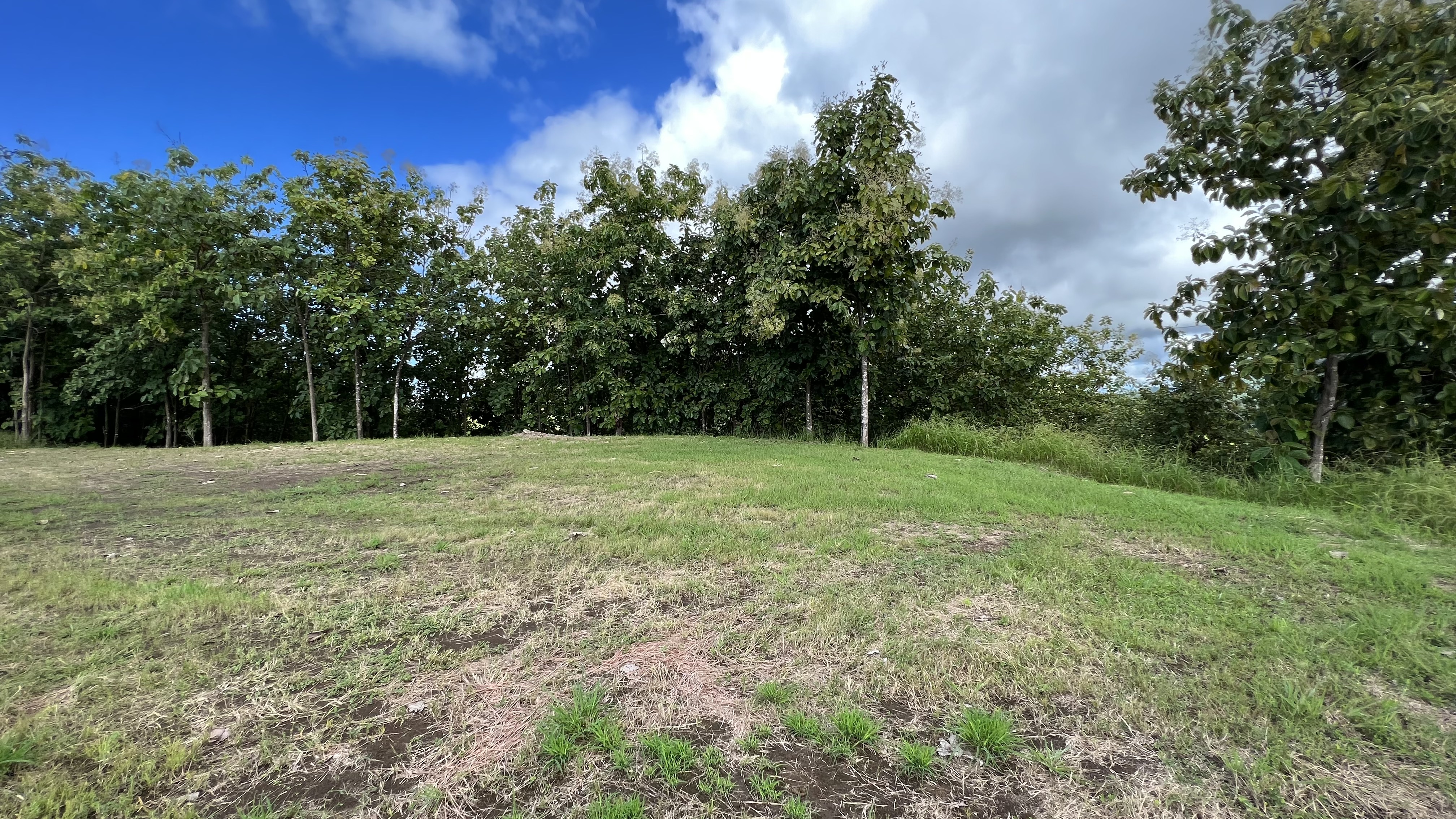 0 bed Land For Sale in Tambor, Puntarenas - thumb 2