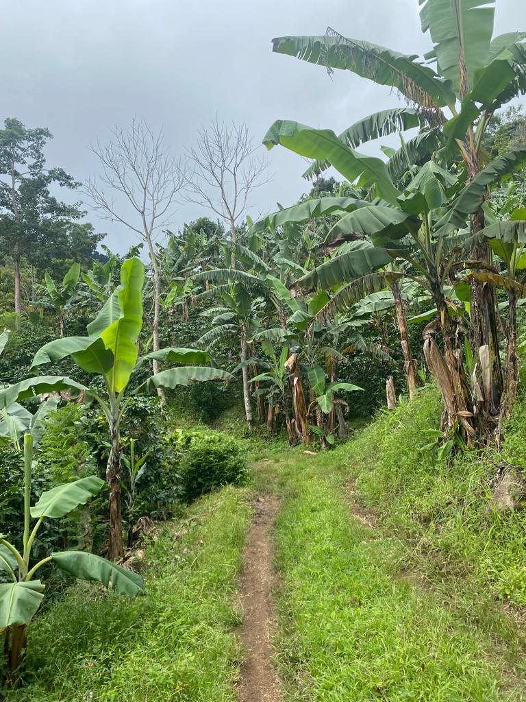 0 bed Land For Sale in San Jose, San Jose - thumb 13