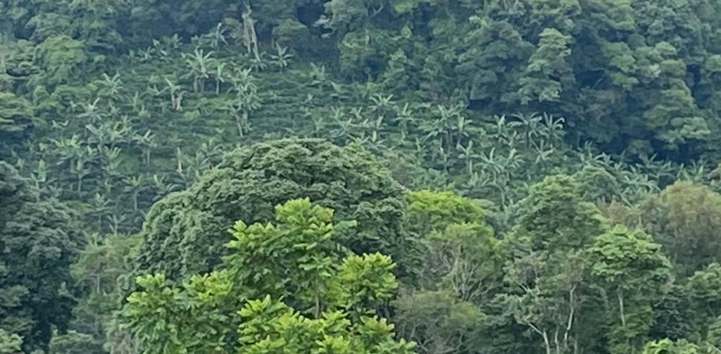 0 bed Land For Sale in San Jose, San Jose - thumb 4