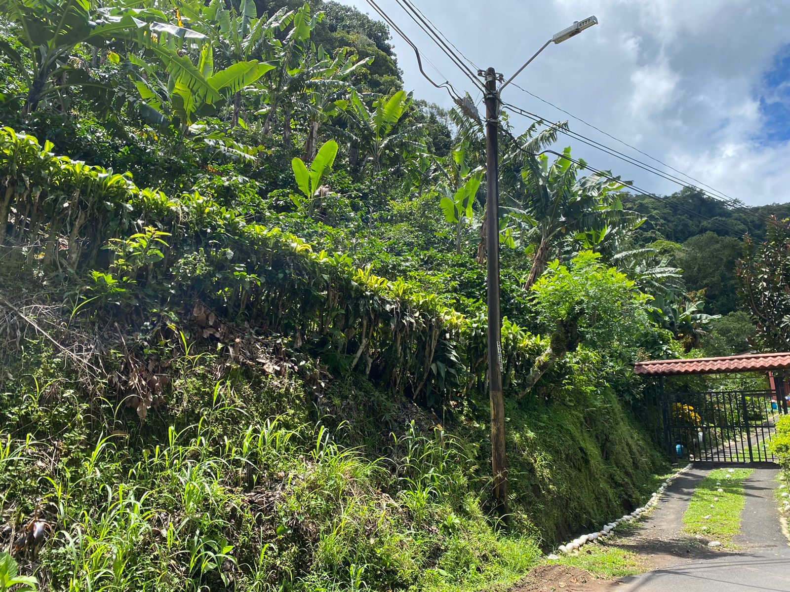 0 bed Land For Sale in San Jose, San Jose - thumb 2