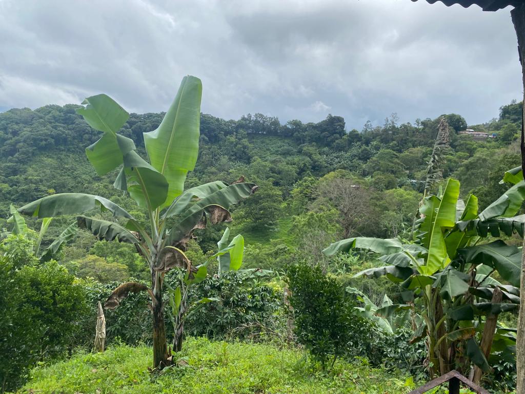 0 bed Land For Sale in San Jose, San Jose - thumb 9