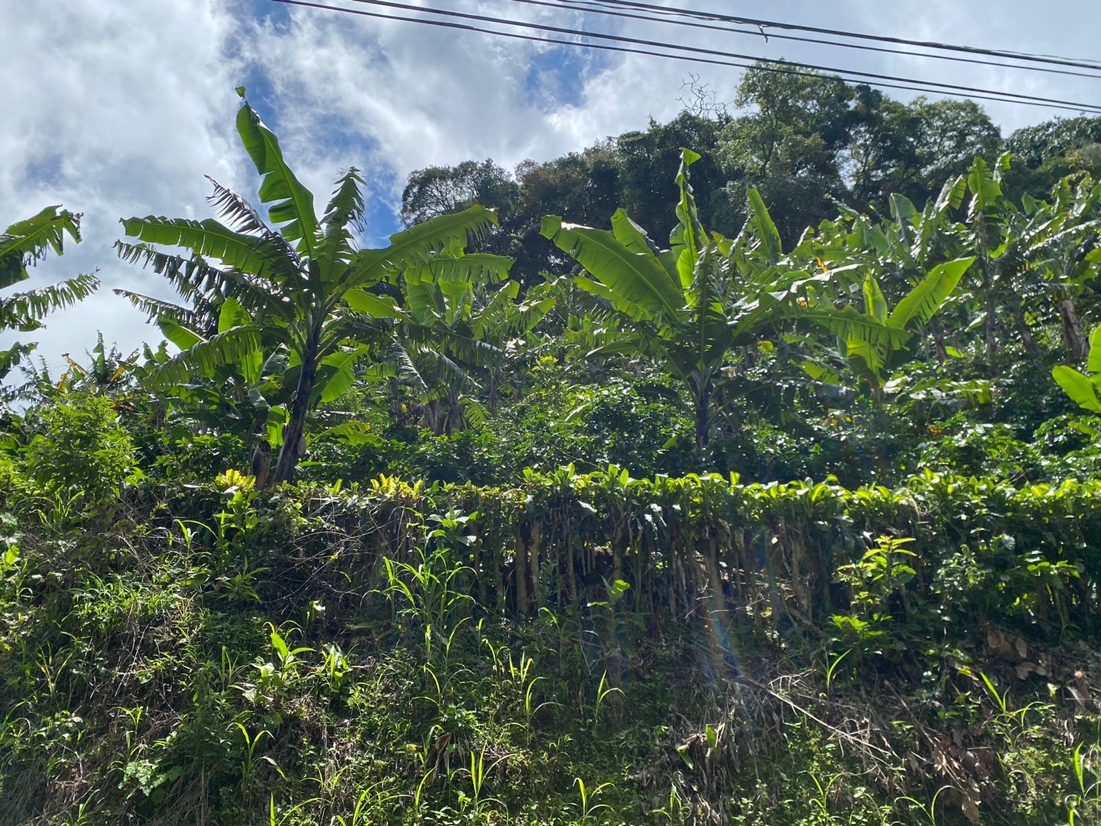 0 bed Land For Sale in San Jose, San Jose - thumb 3