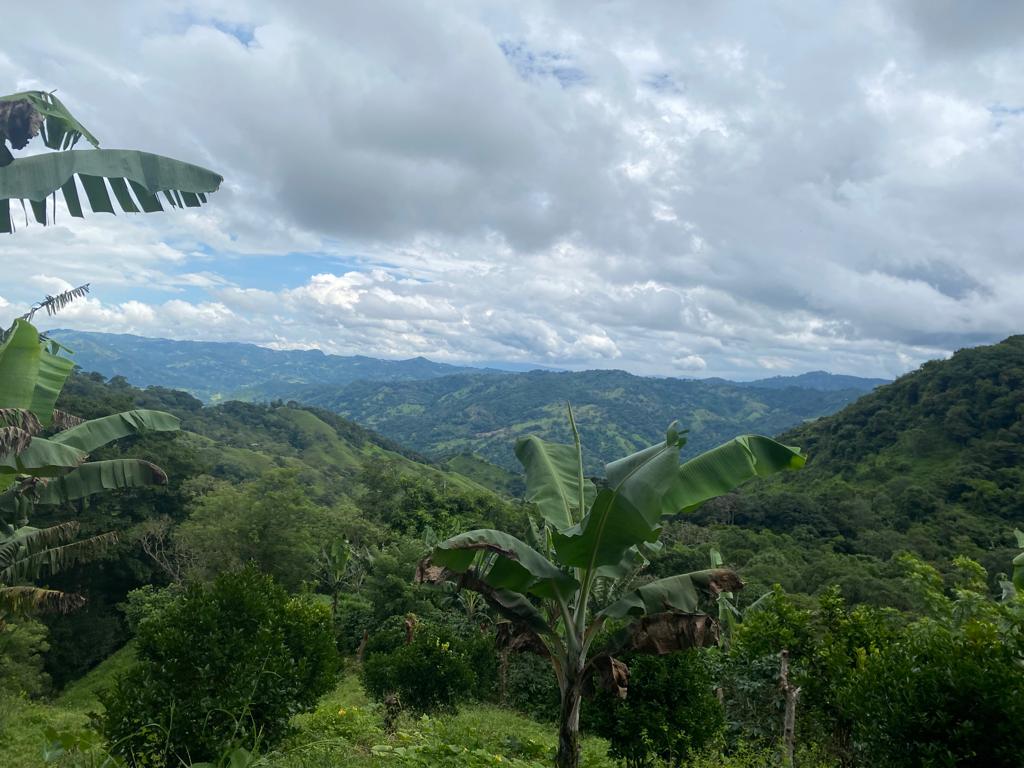 0 bed Land For Sale in San Jose, San Jose - thumb 8