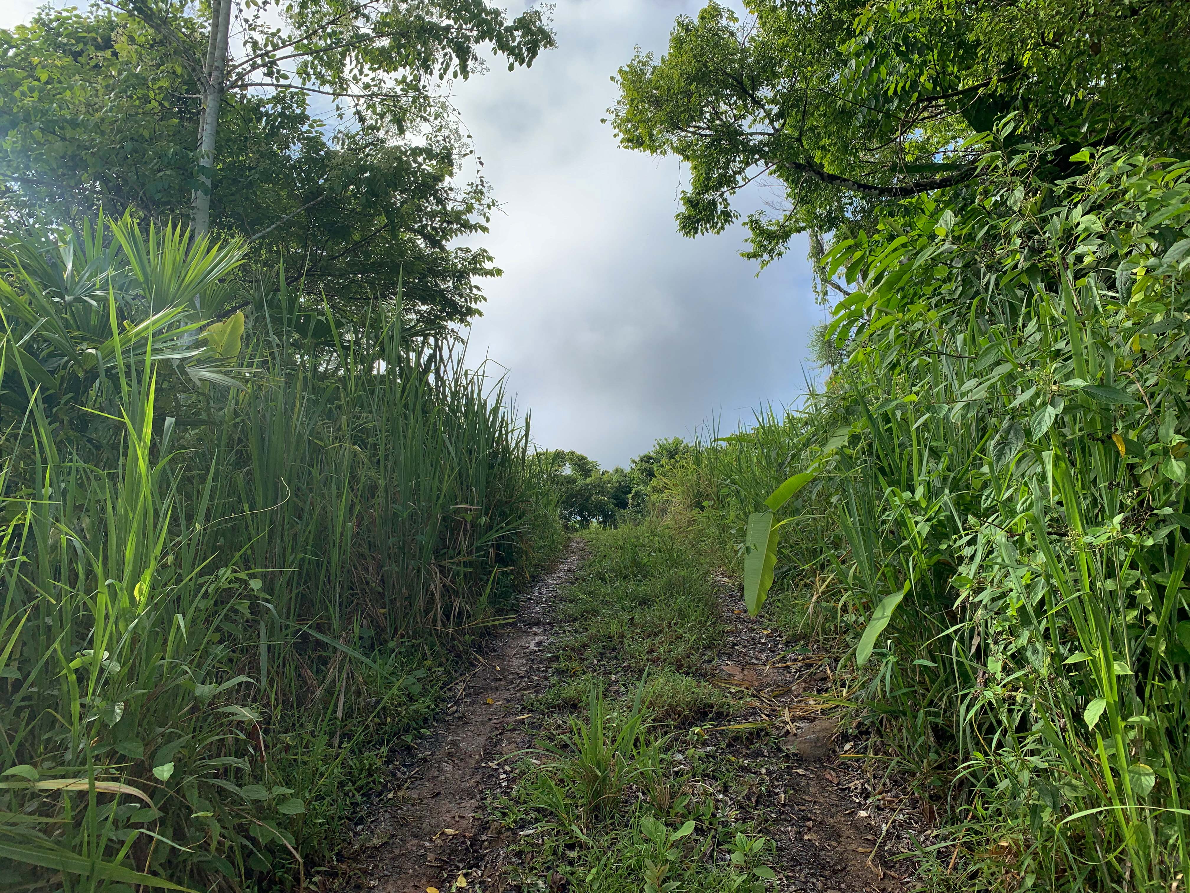 0 bed Land For Sale in Uvita, Puntarenas - thumb 12