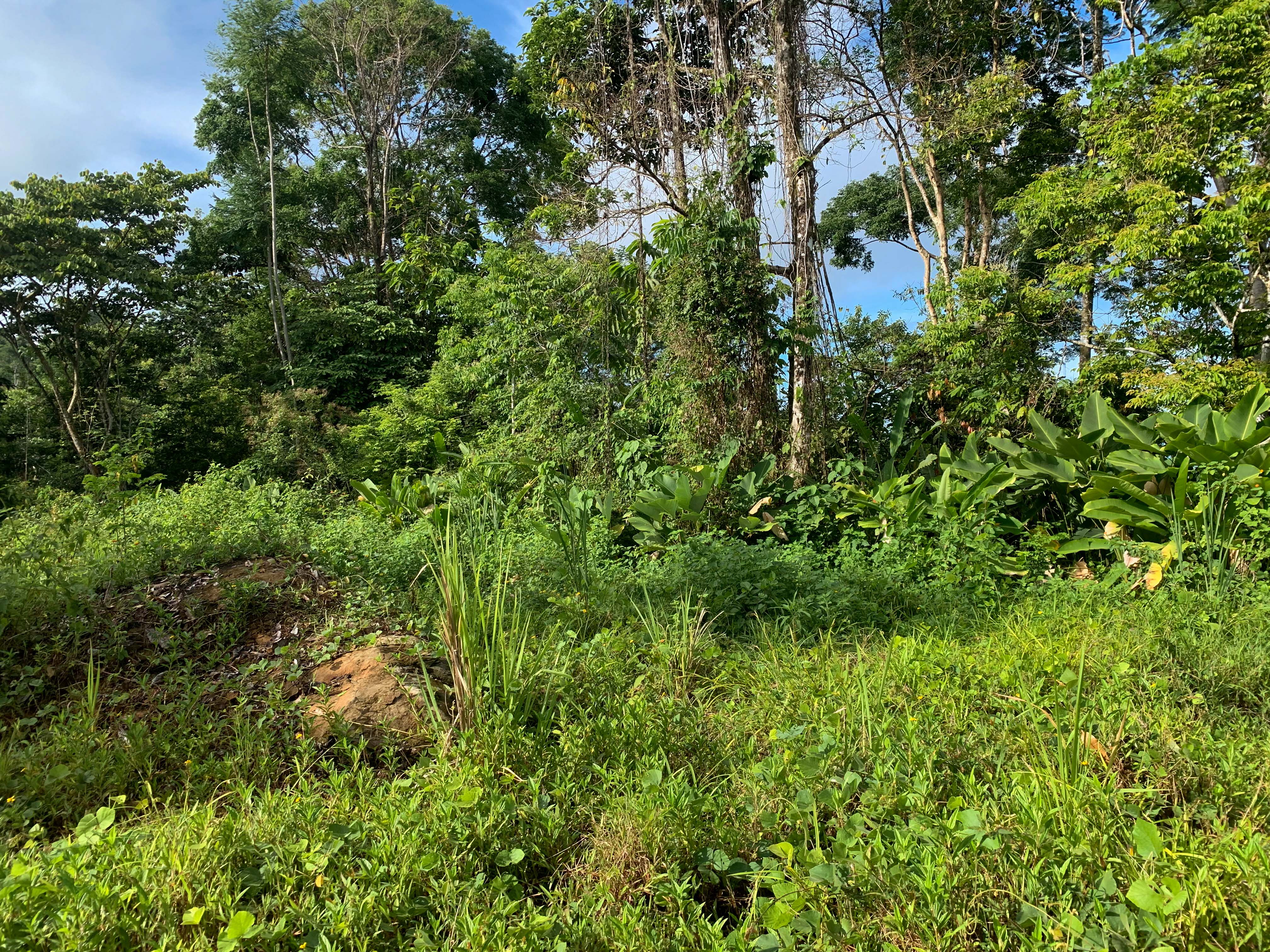 0 bed Land For Sale in Uvita, Puntarenas - thumb 9