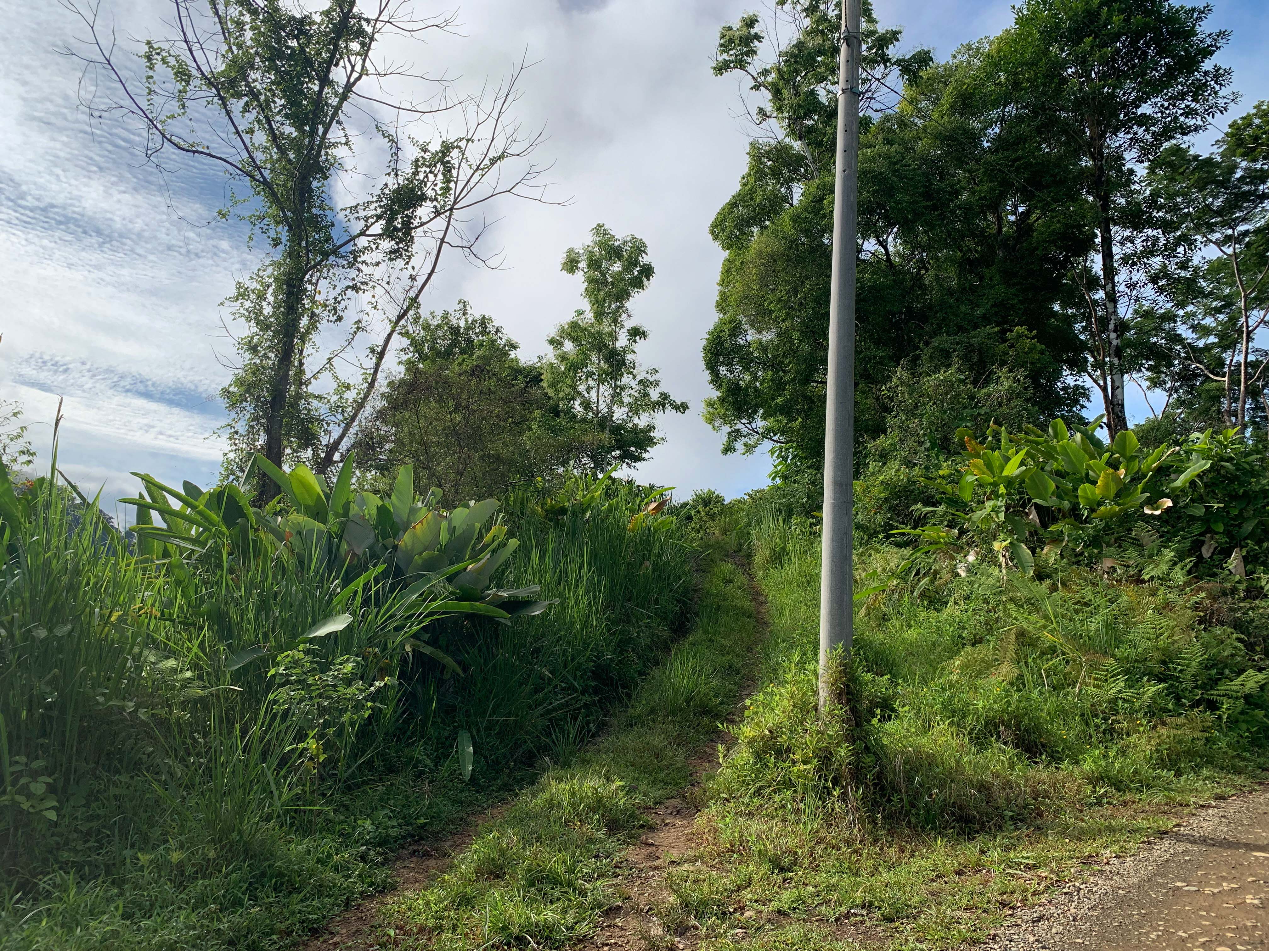 0 bed Land For Sale in Uvita, Puntarenas - thumb 13
