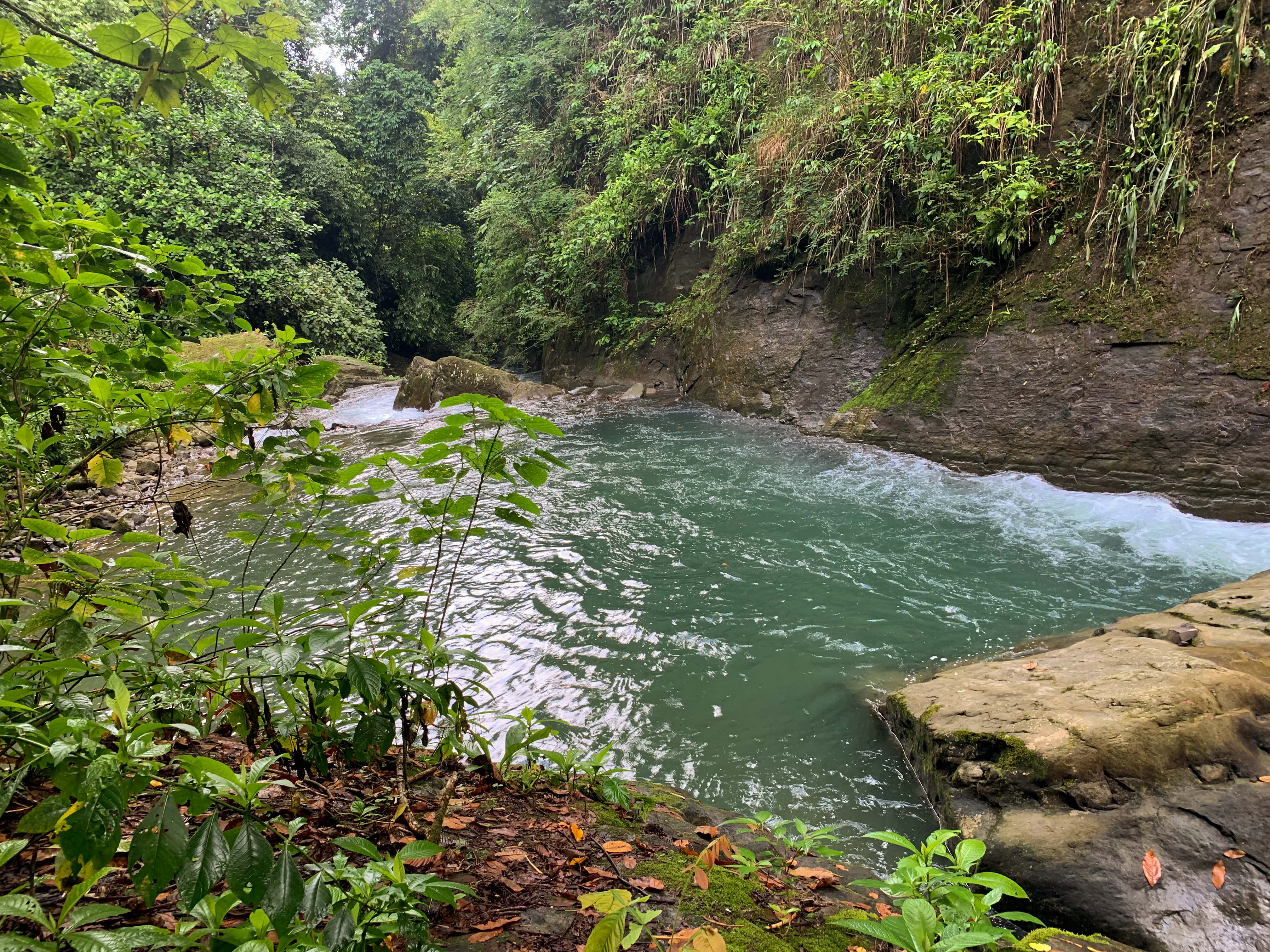 0 bed Land For Sale in Uvita, Puntarenas - thumb 7