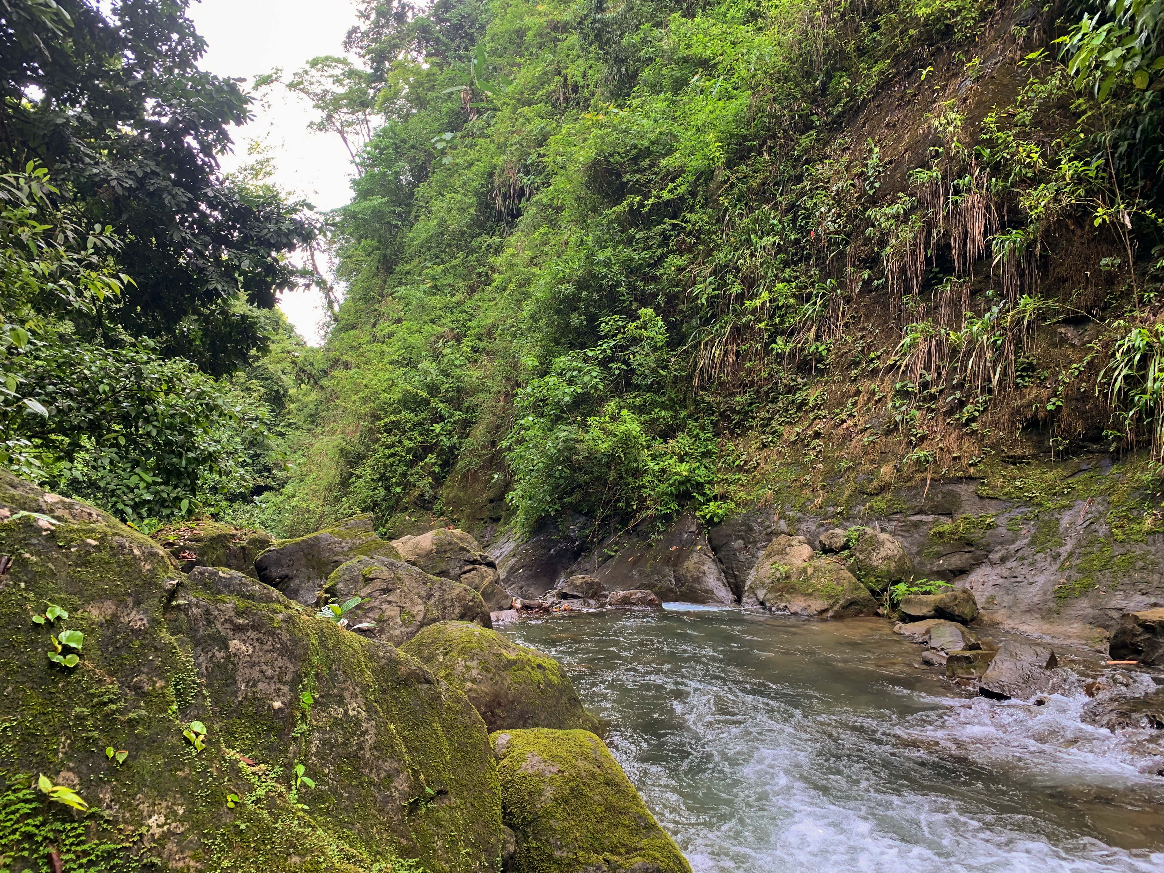 0 bed Land For Sale in Uvita, Puntarenas - thumb 25