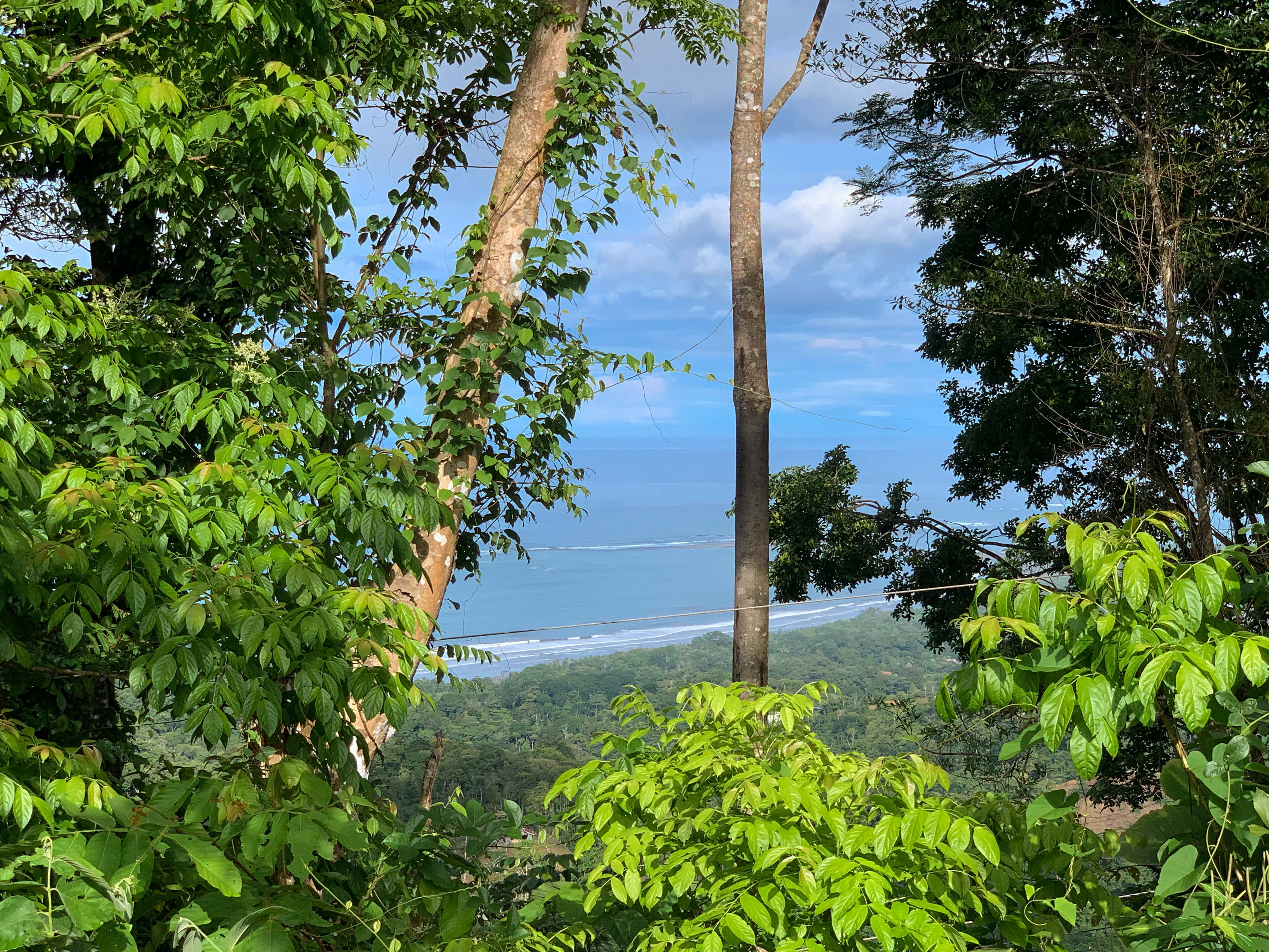 0 bed Land For Sale in Uvita, Puntarenas - thumb 4