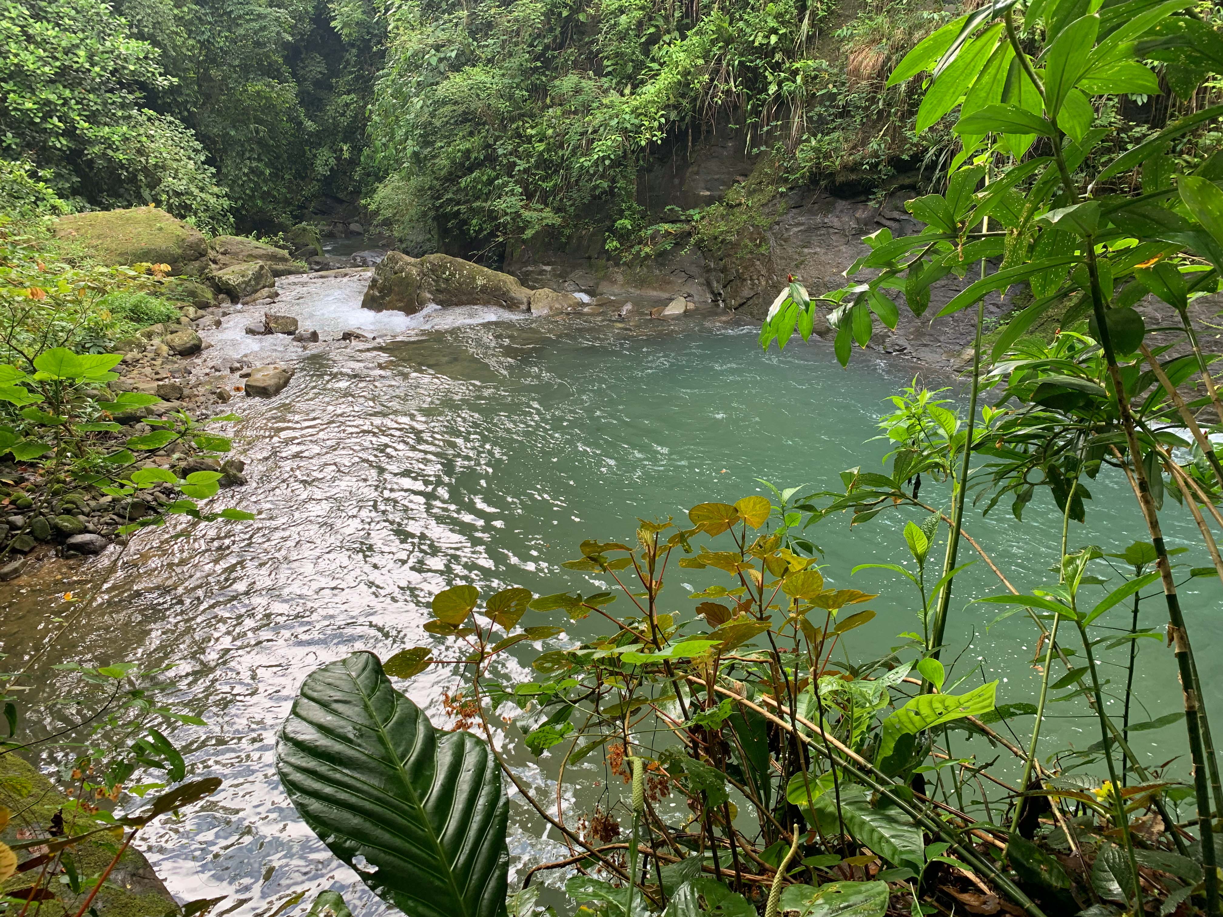 0 bed Land For Sale in Uvita, Puntarenas - thumb 3