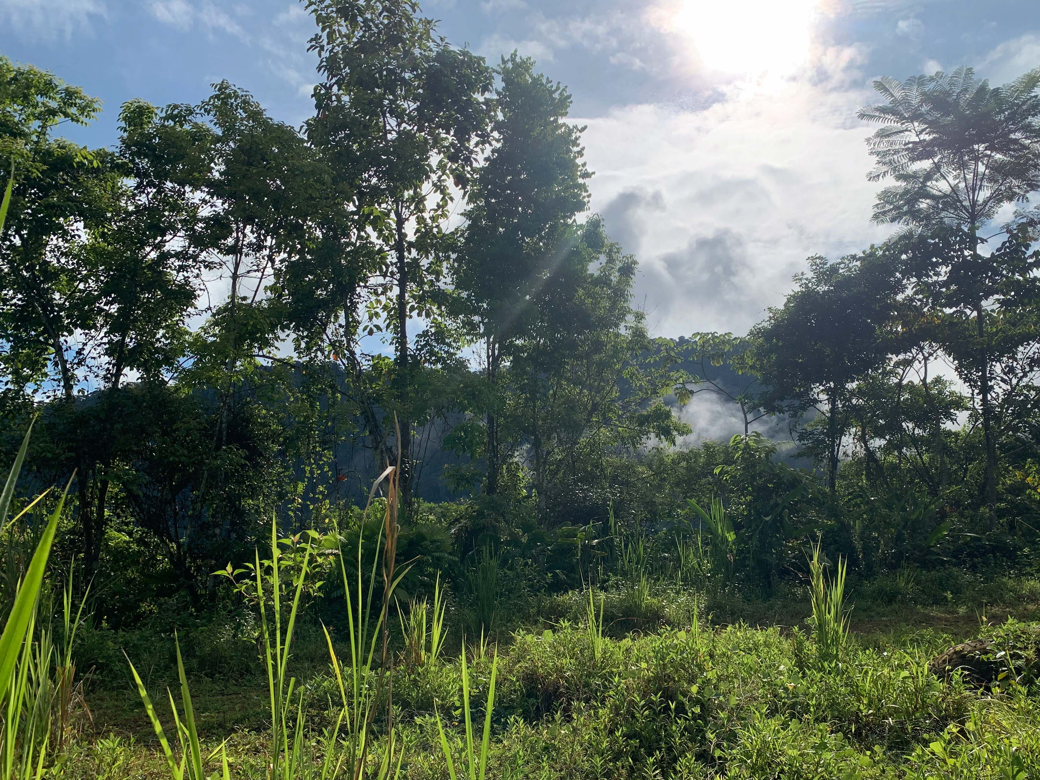 0 bed Land For Sale in Uvita, Puntarenas - thumb 11