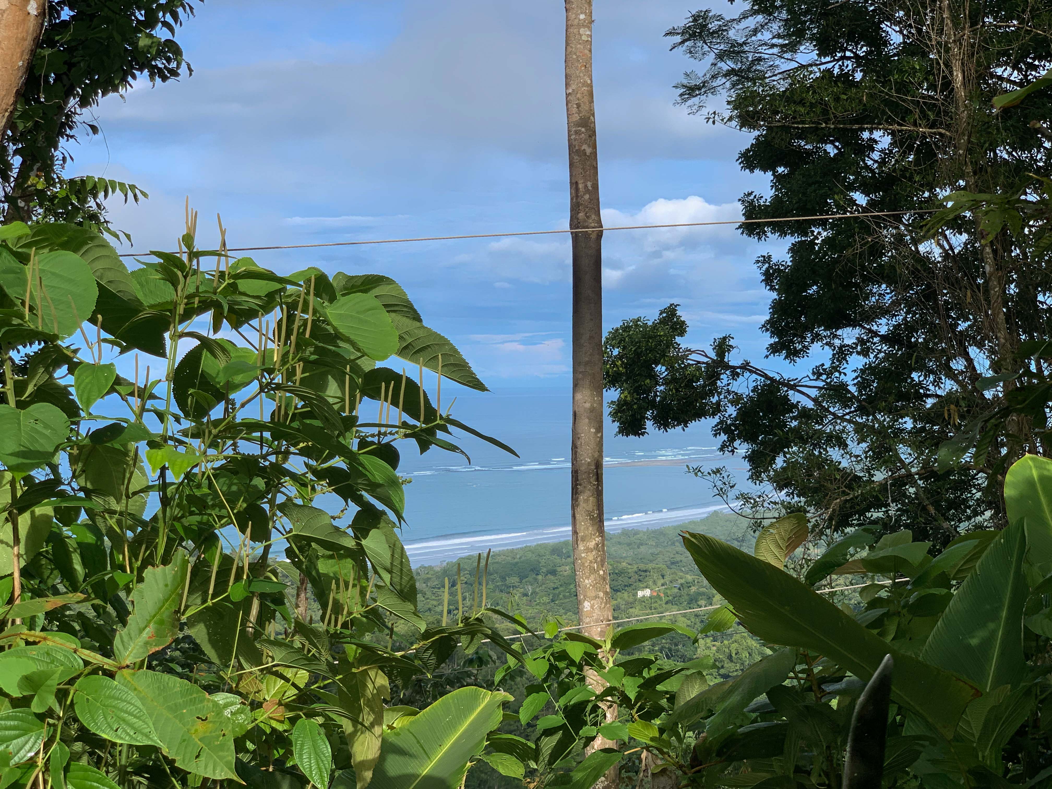 0 bed Land For Sale in Uvita, Puntarenas - thumb 1