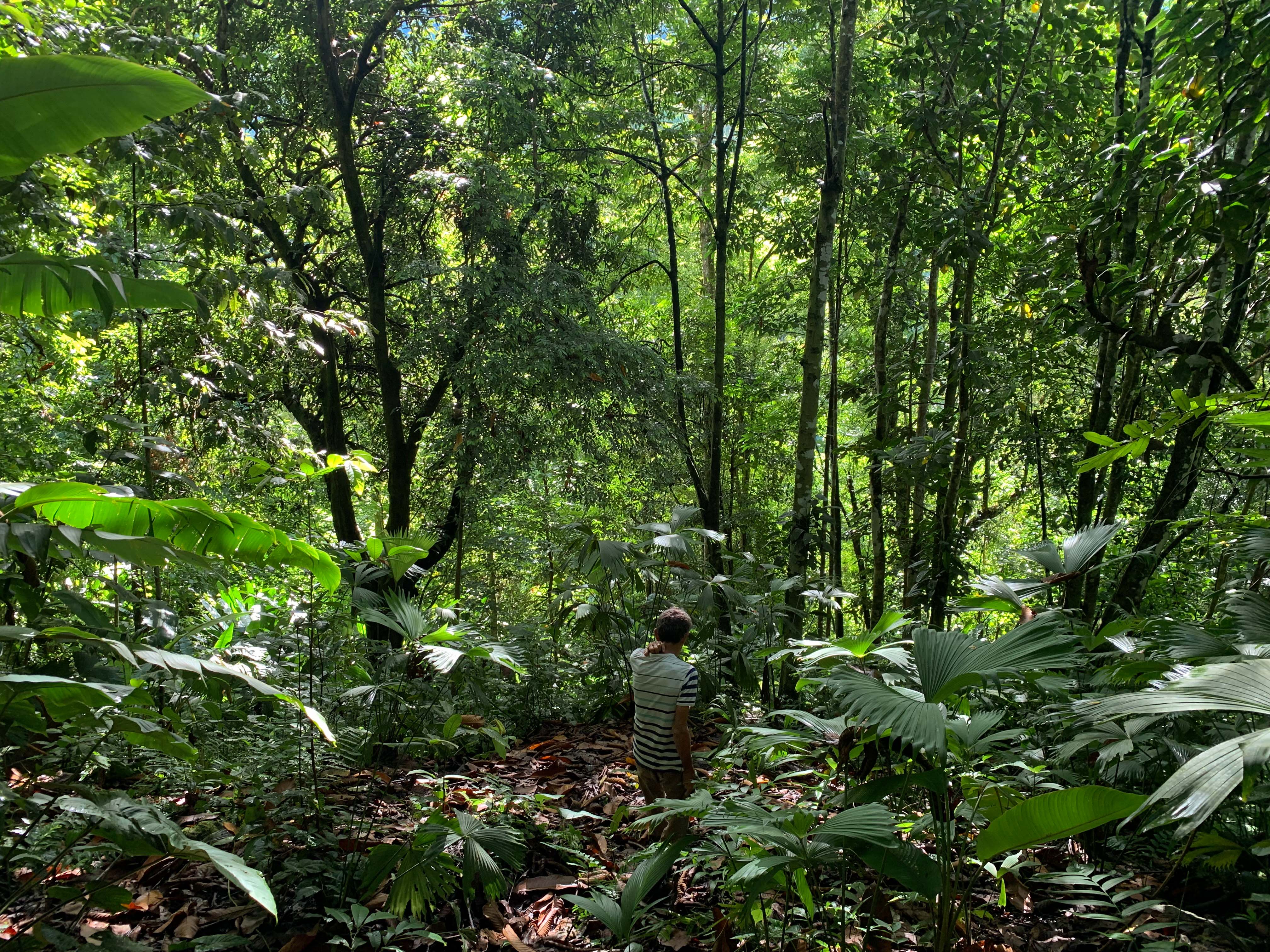 0 bed Land For Sale in Uvita, Puntarenas - thumb 17