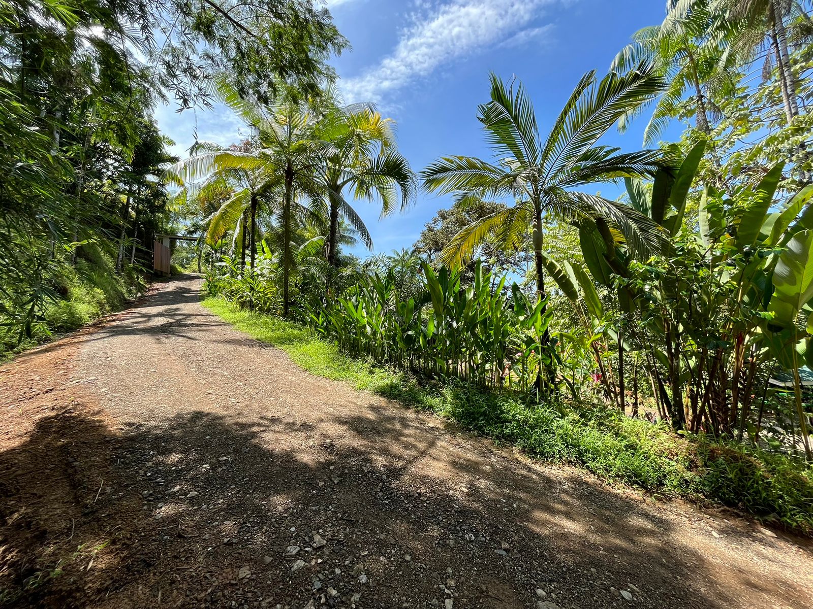 5 bed Single Family Homes For Sale in Uvita, Puntarenas - thumb 6