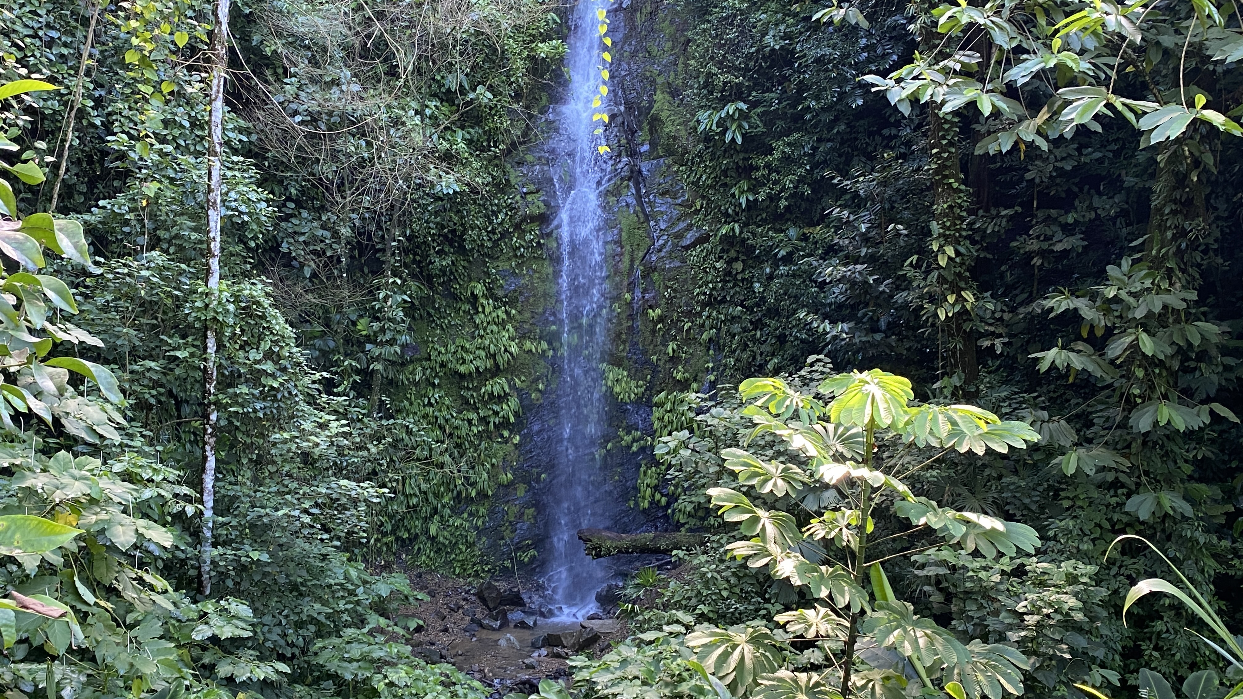 0 bed Land For Sale in Ojochal, Puntarenas - thumb 1