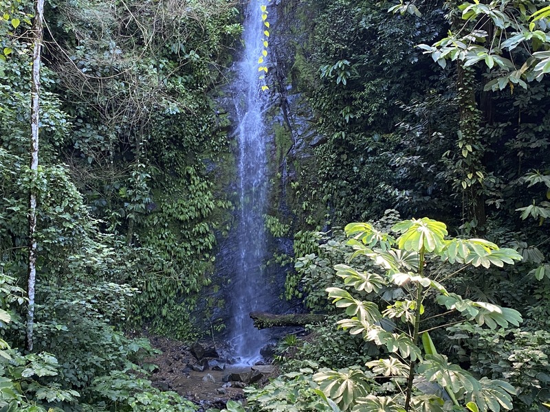 0 bed Land For Sale in Ojochal, Puntarenas - 1