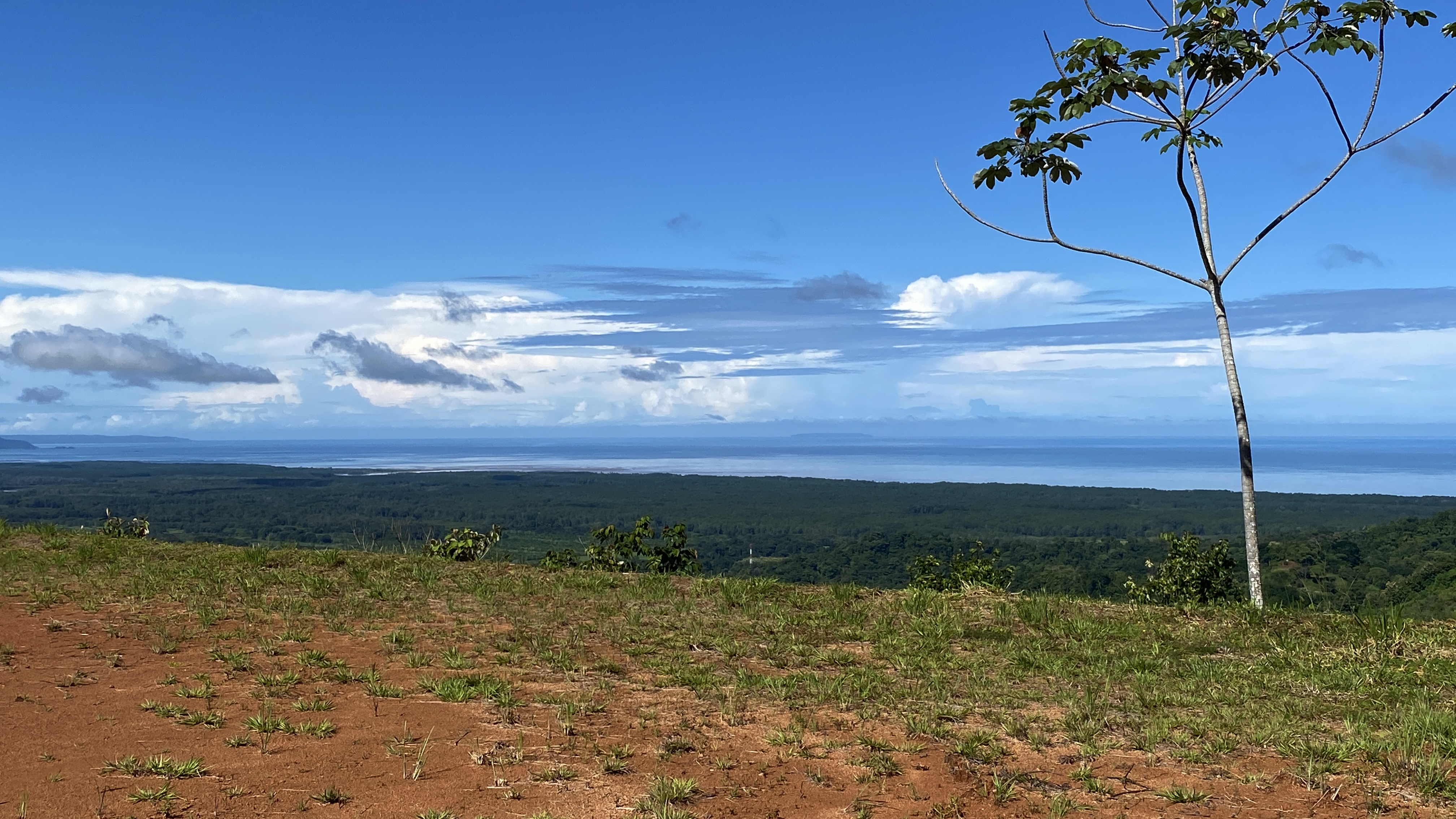 0 bed Land For Sale in Ojochal, Puntarenas - thumb 11