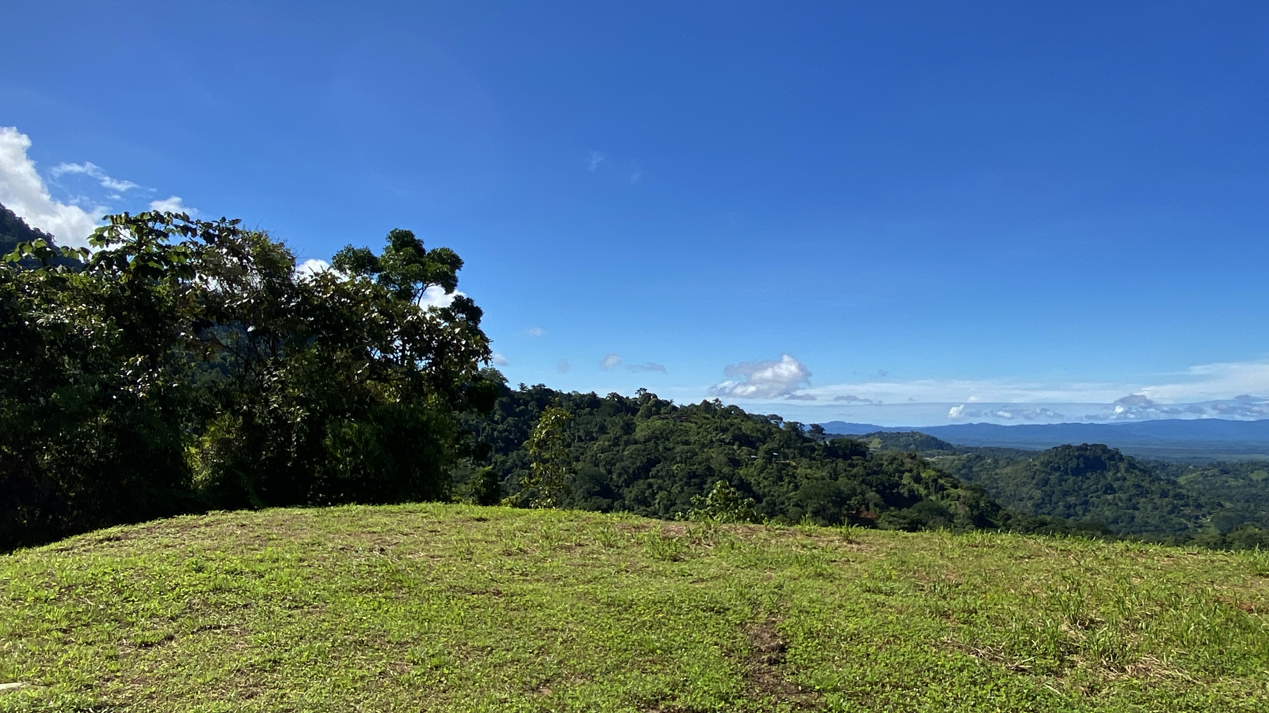 0 bed Land For Sale in Ojochal, Puntarenas - thumb 5