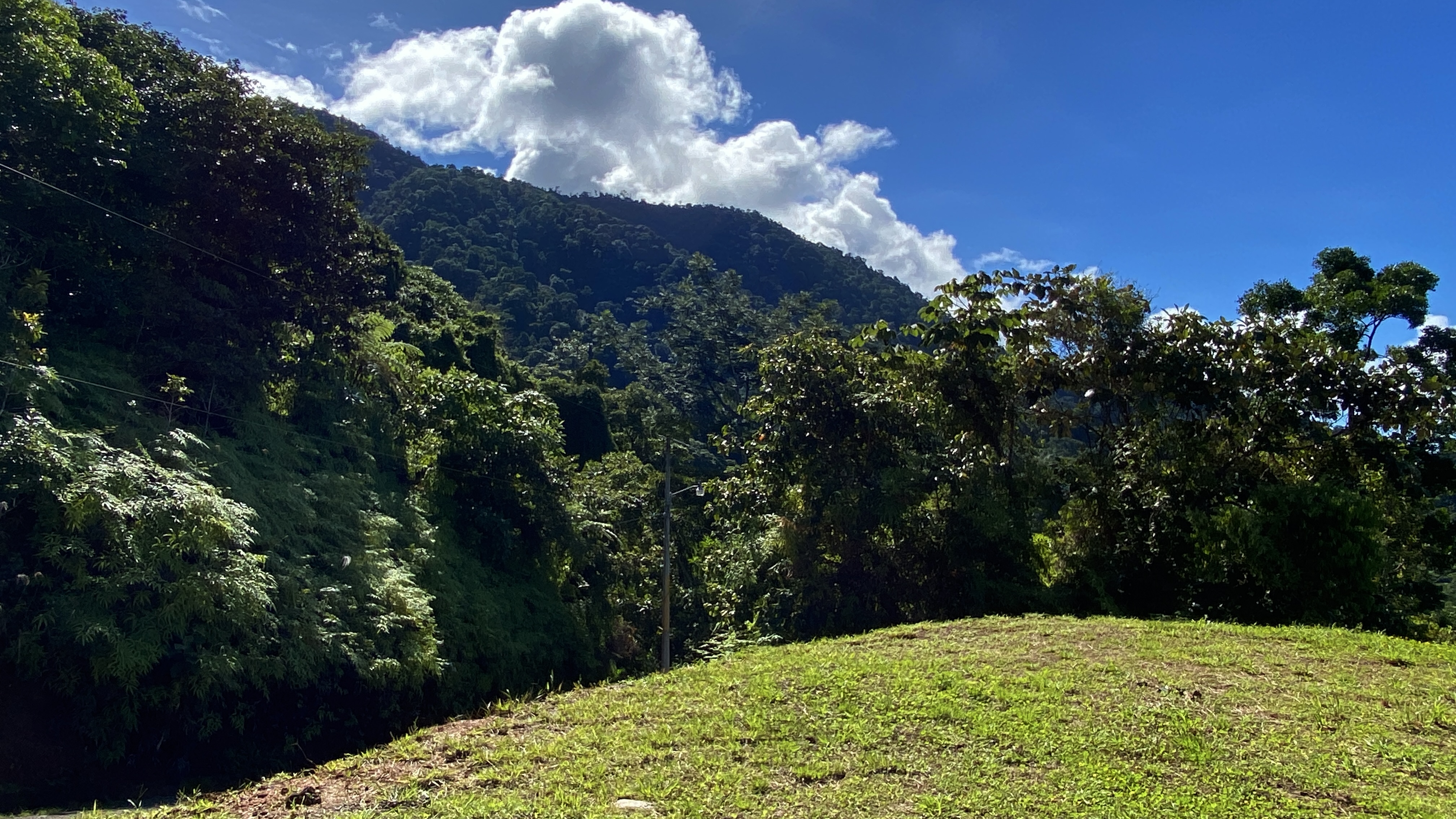 0 bed Land For Sale in Ojochal, Puntarenas - thumb 6