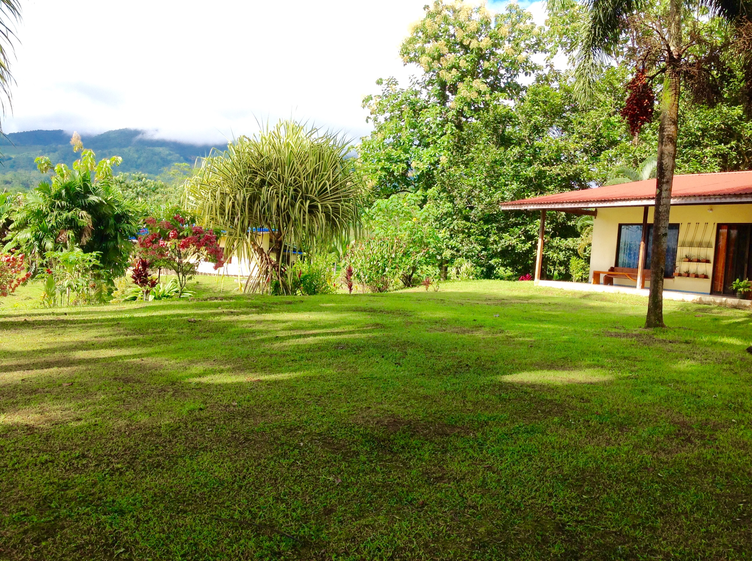 5 bed Single Family Homes For Sale in La Fortuna, Alajuela - thumb 14
